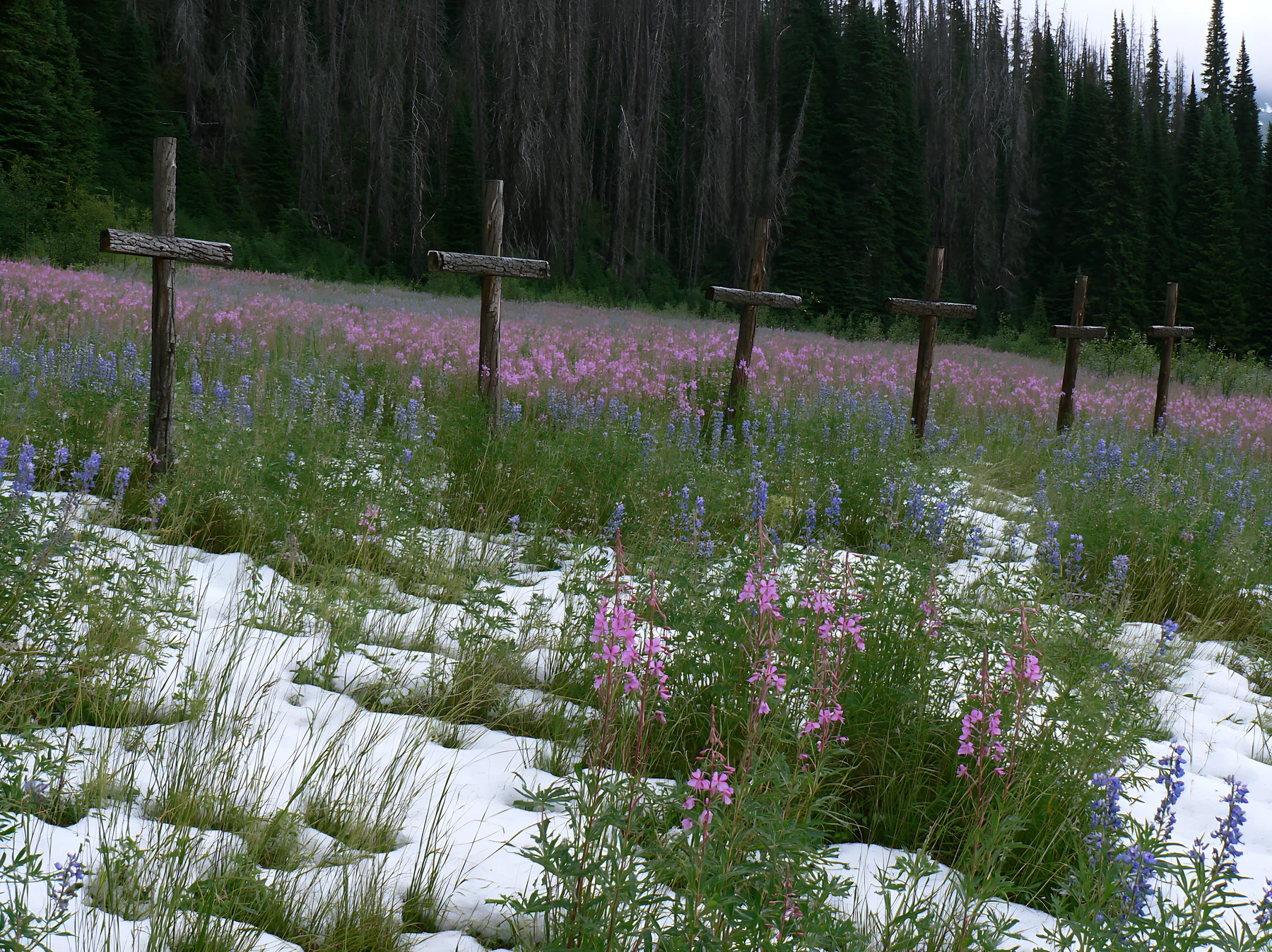 Multiple Christian crosses in snowy meadow with wildflowers - AI-generated stock image