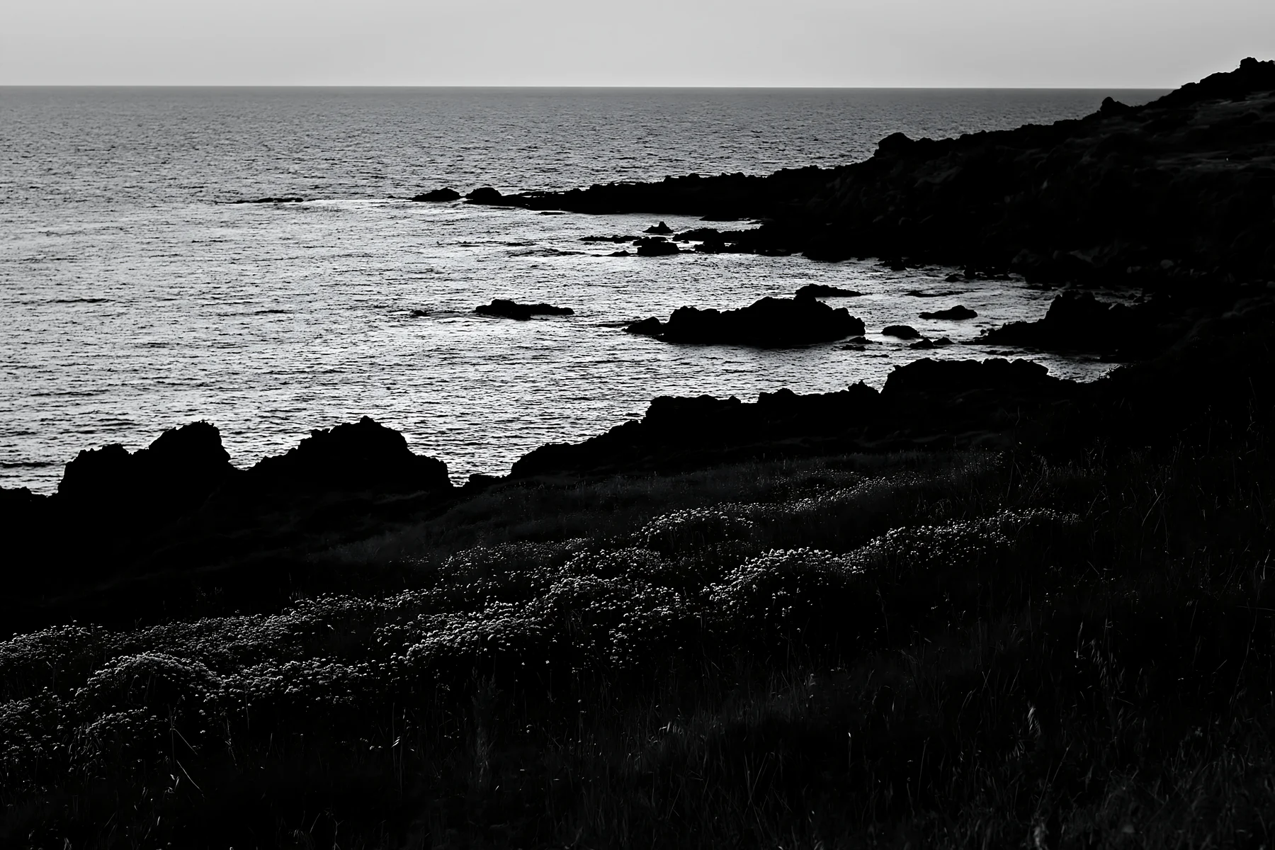 Black and white italian meadow along rocky coast at dusk - AI-generated stock image