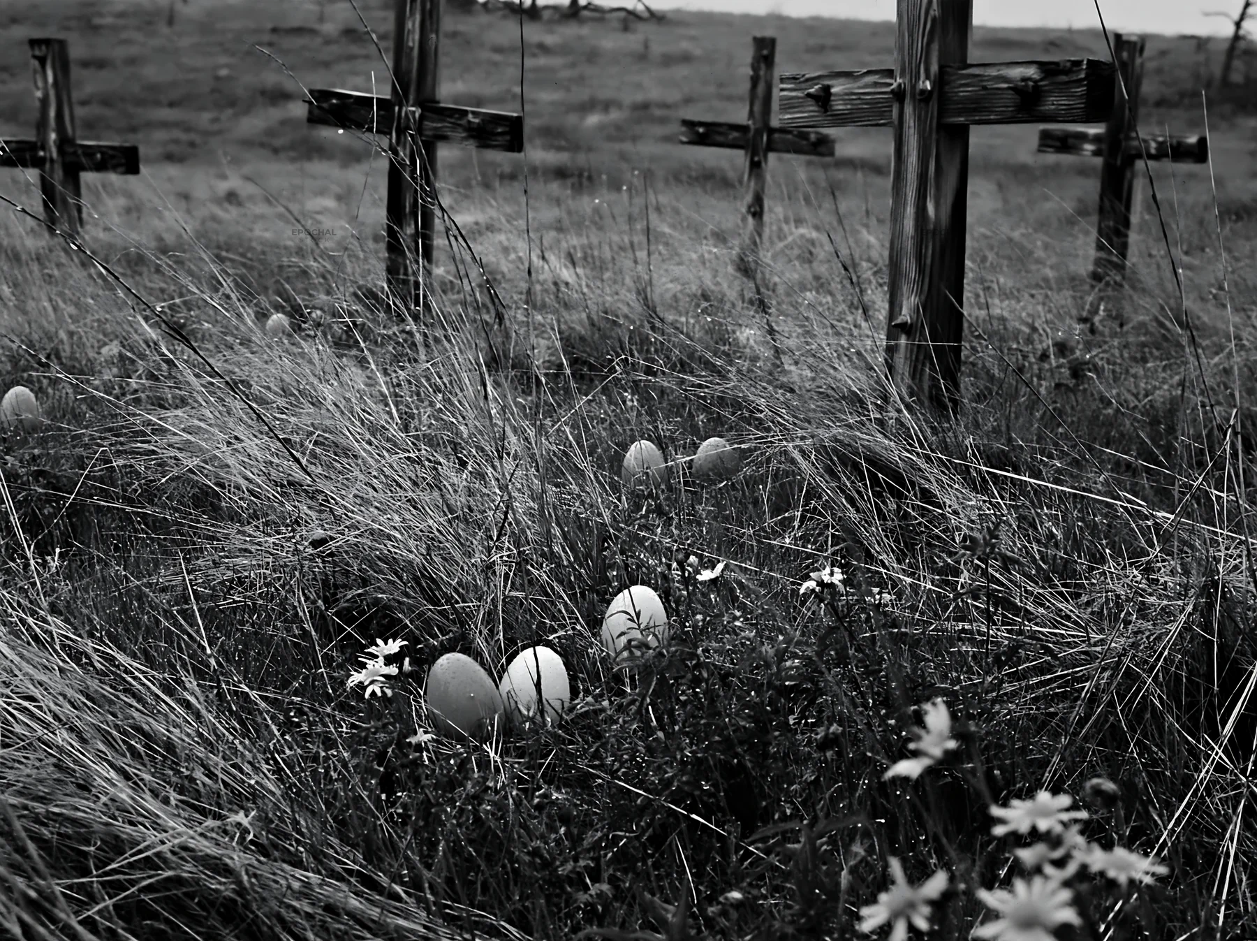 Christian crosses in rain soaked meadow with flowers and eggs - AI-generated stock image