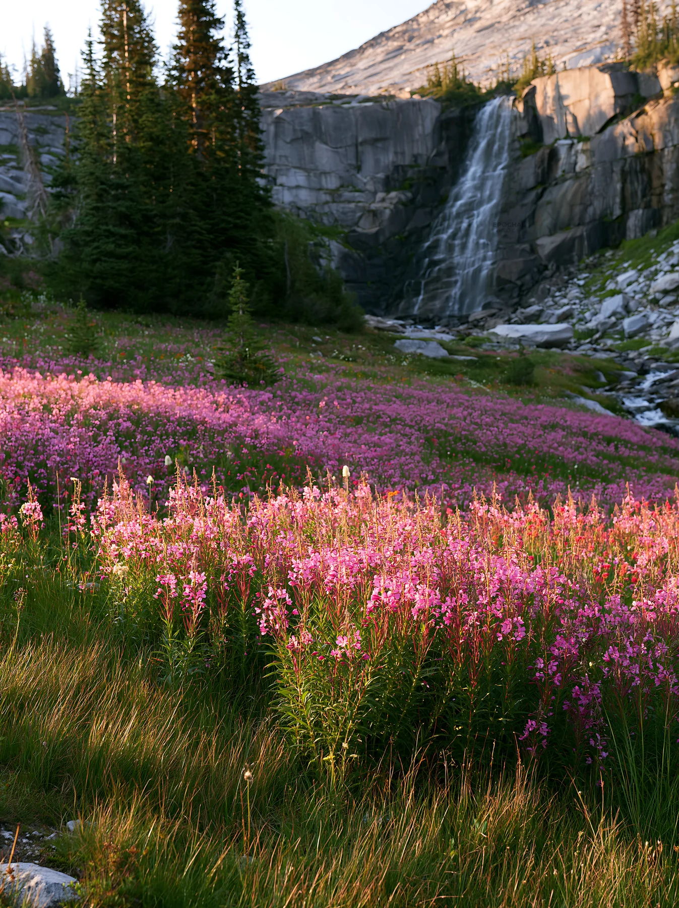 Flower meadow under a cascade in a natural setting - AI-generated stock image