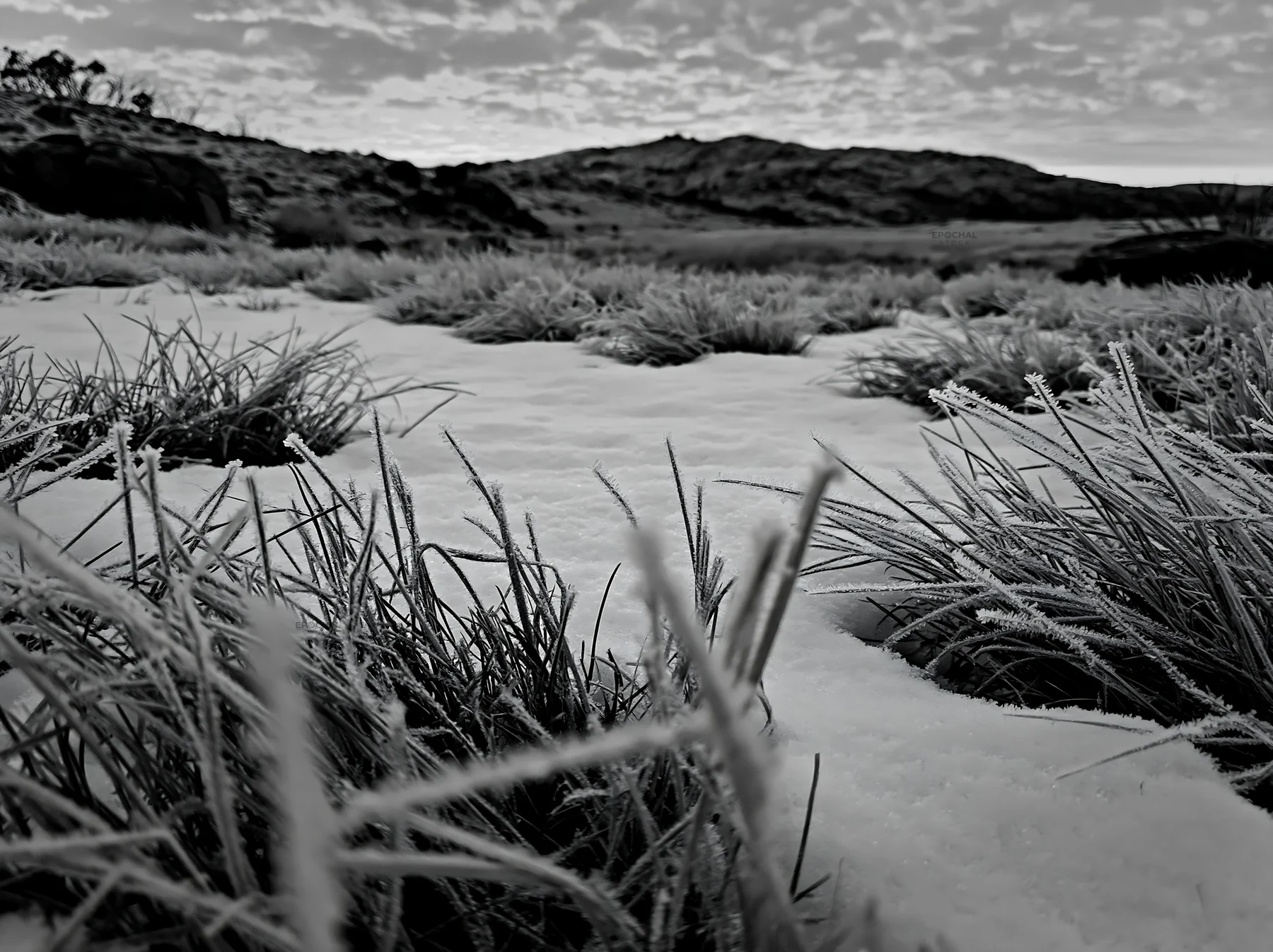 Black and white snowy highland meadow with frost-covered grass at sunrise - AI-generated stock image
