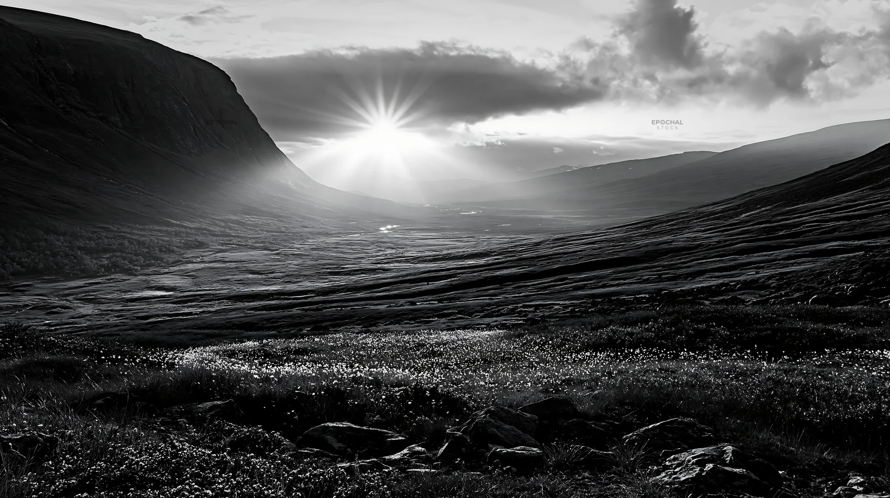 Black and white jotunheimen valley meadow sunbeams create striking landscape - AI-generated stock image