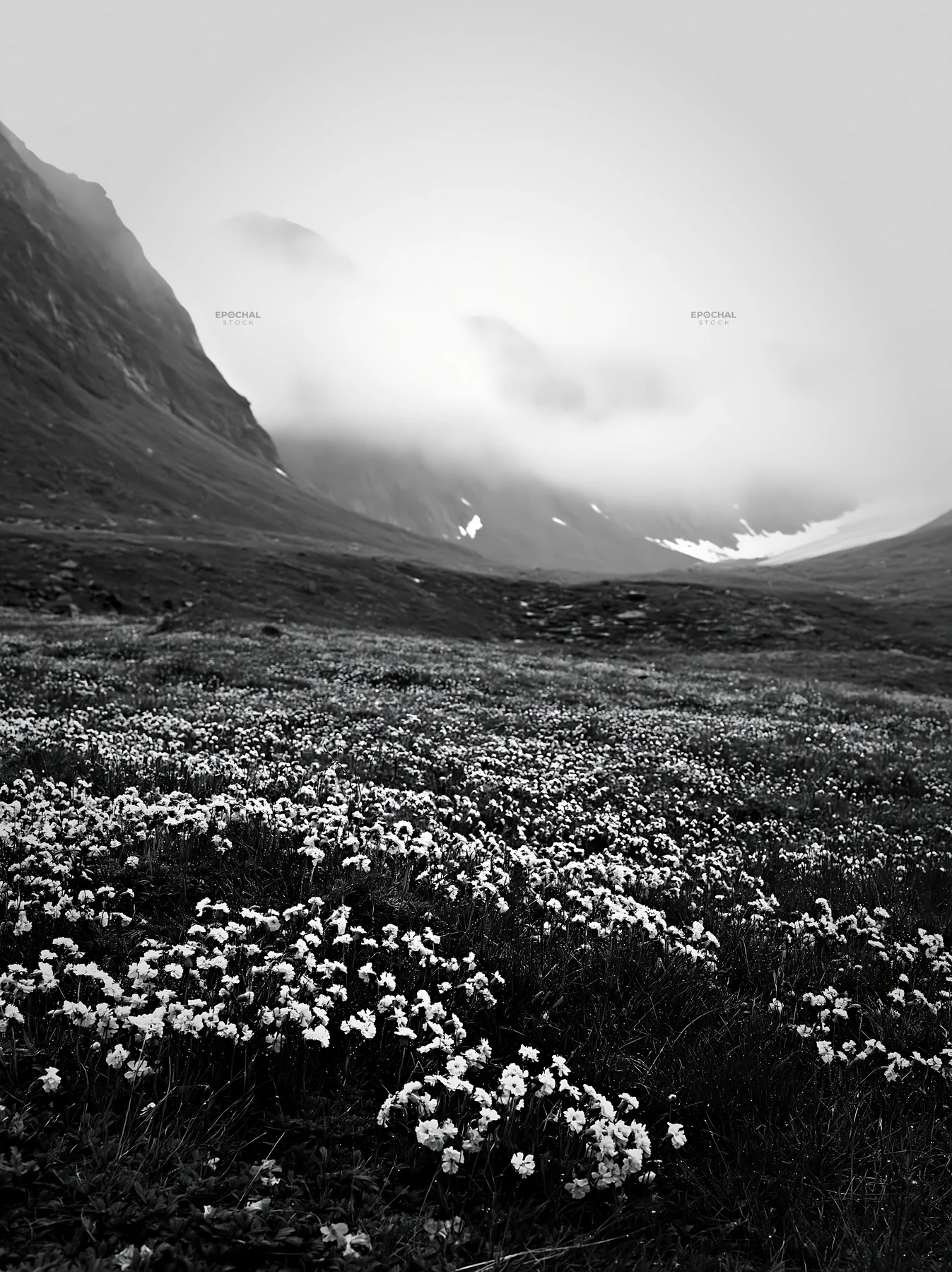 Mountain pass meadow with flowers and clouds - AI-generated stock image