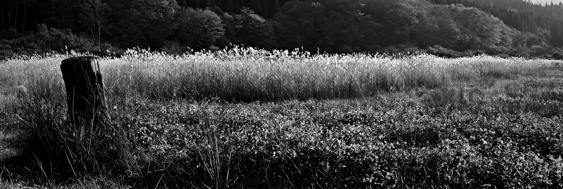 Black and white fukushima native meadow with weathered stump - AI-generated stock image