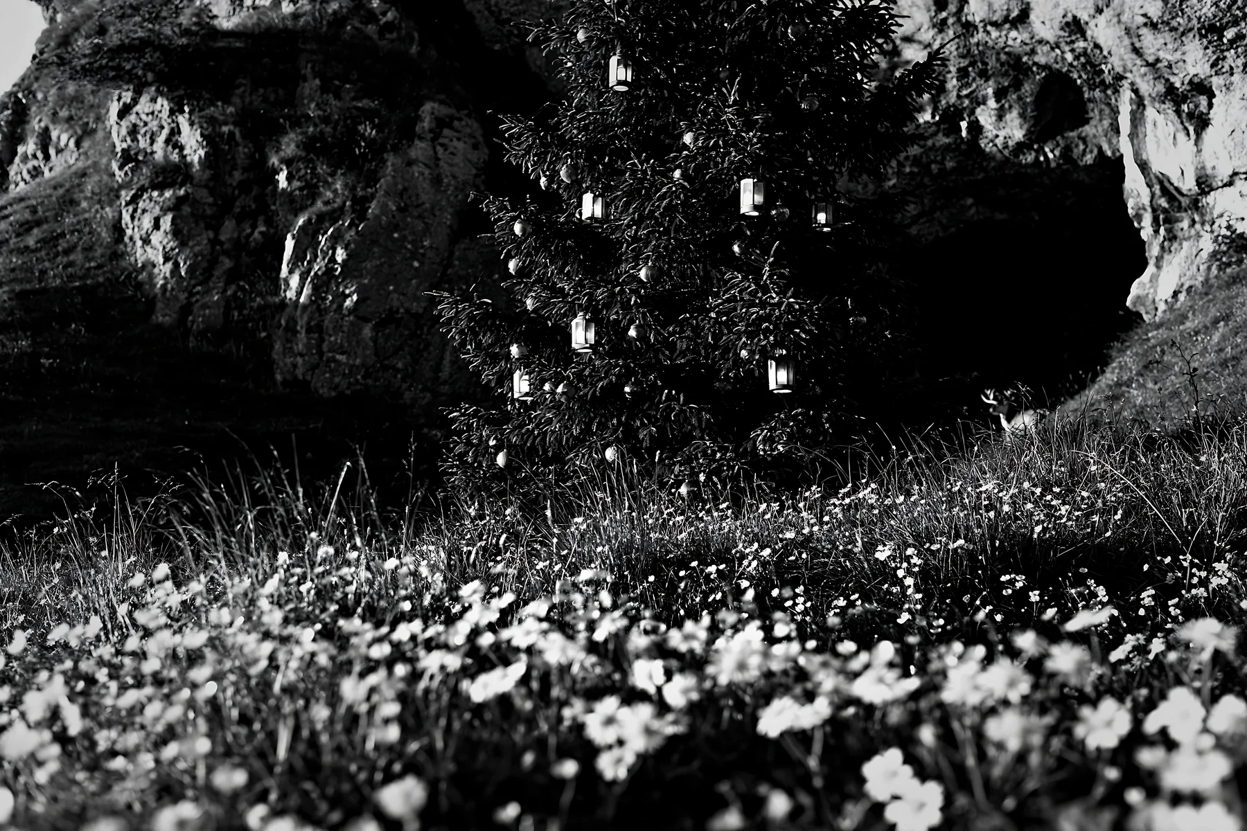 Christmas tree with lanterns in meadow by cave - AI-generated stock image