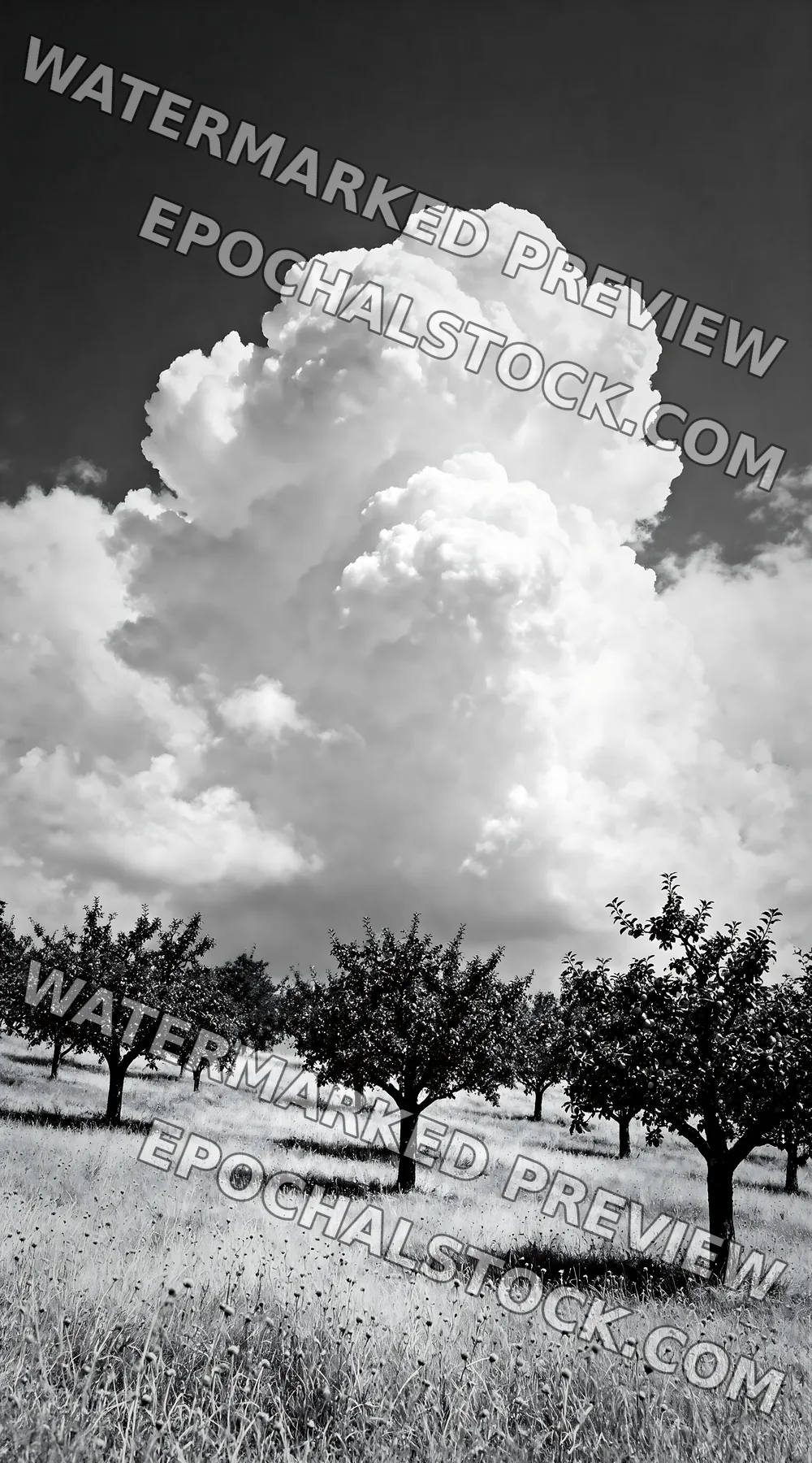 Black and white hillside apple meadow with trees and clouds - AI-generated stock image