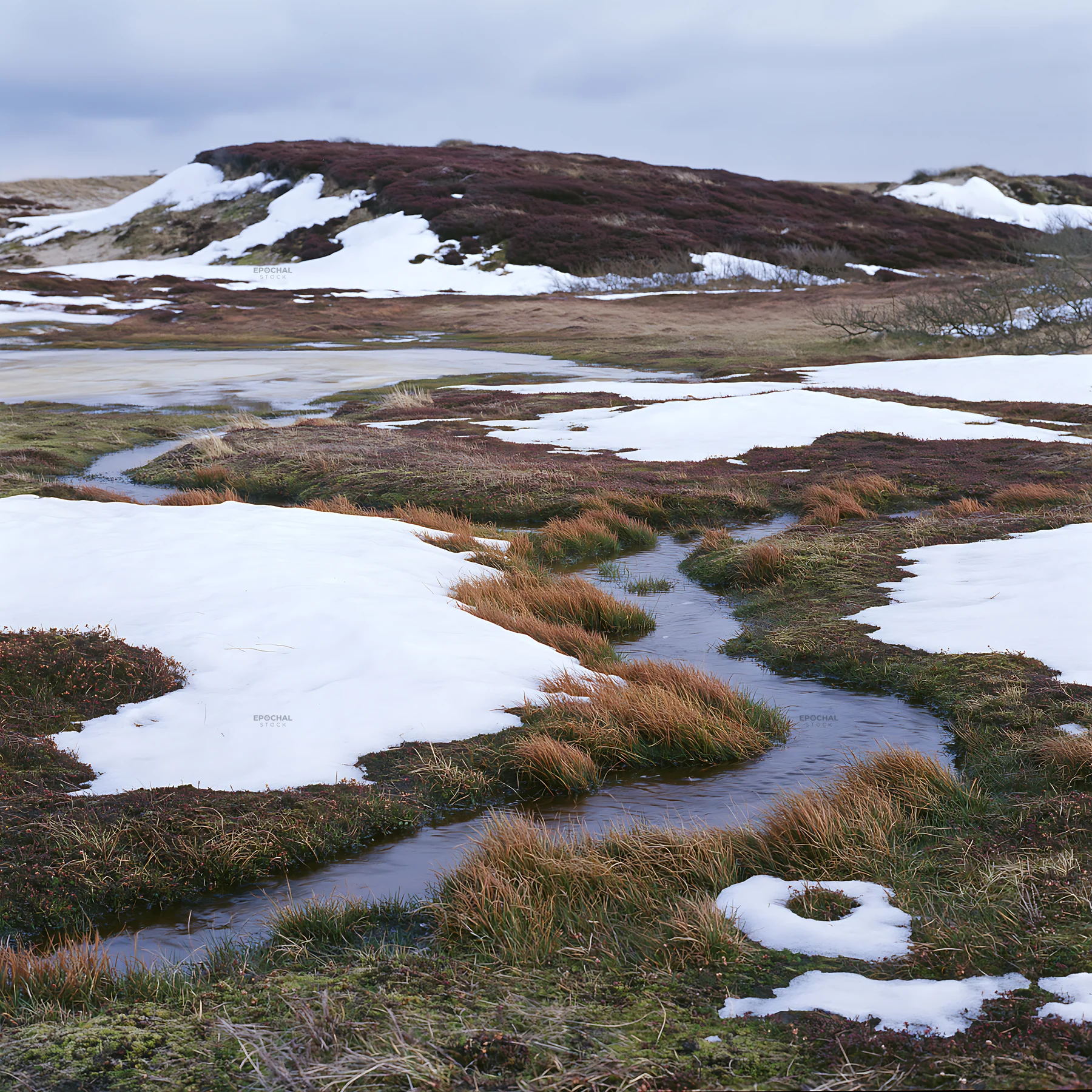 Dune meadow with snow patches and a stream - AI-generated stock image
