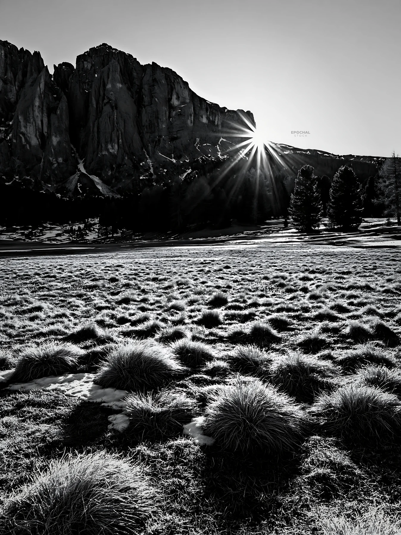 Sunbeams shining over Alpe di Siusi meadow in black and white - AI-generated stock image