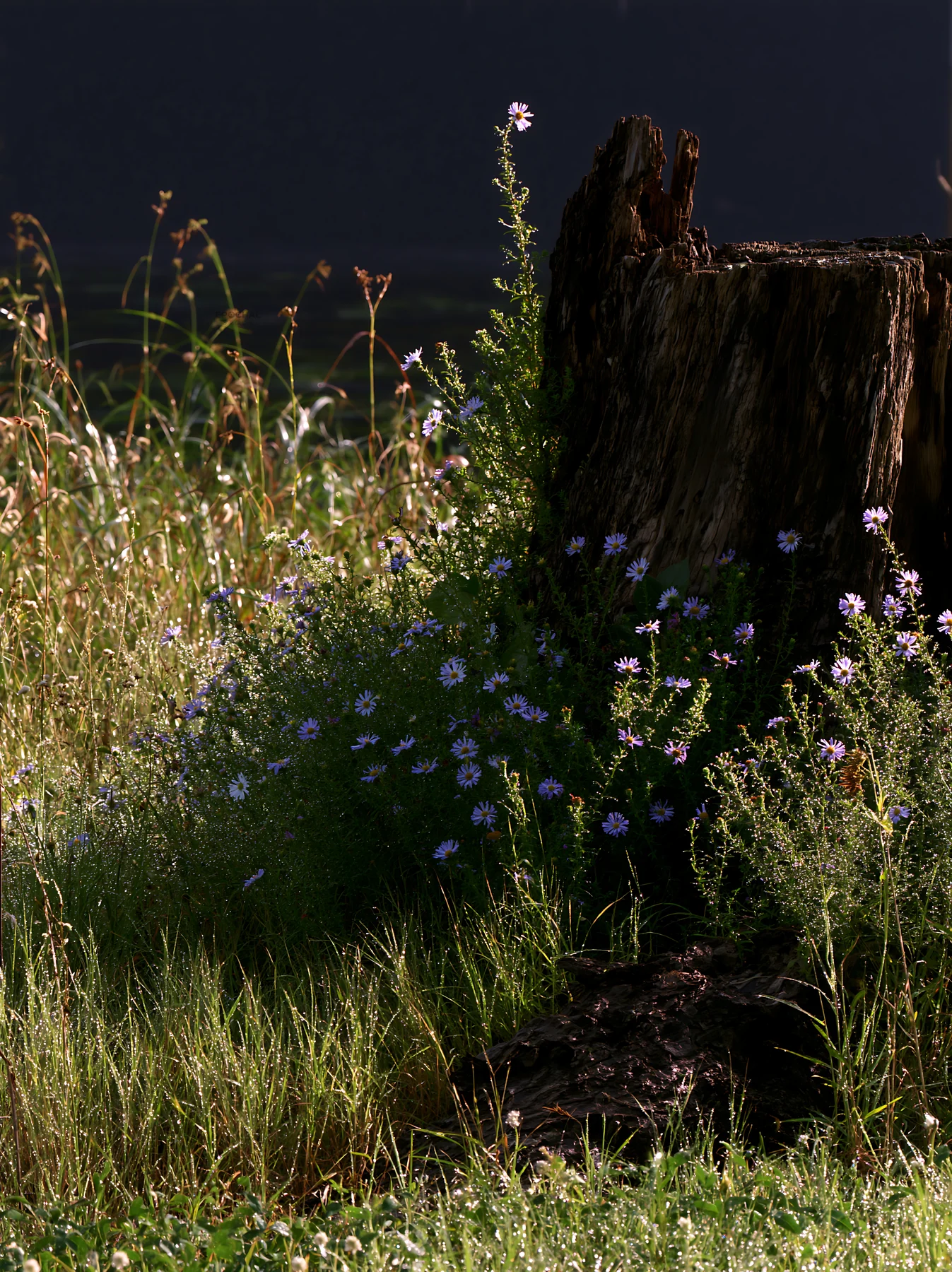Fukushima native meadow with weathered stump - AI-generated stock image