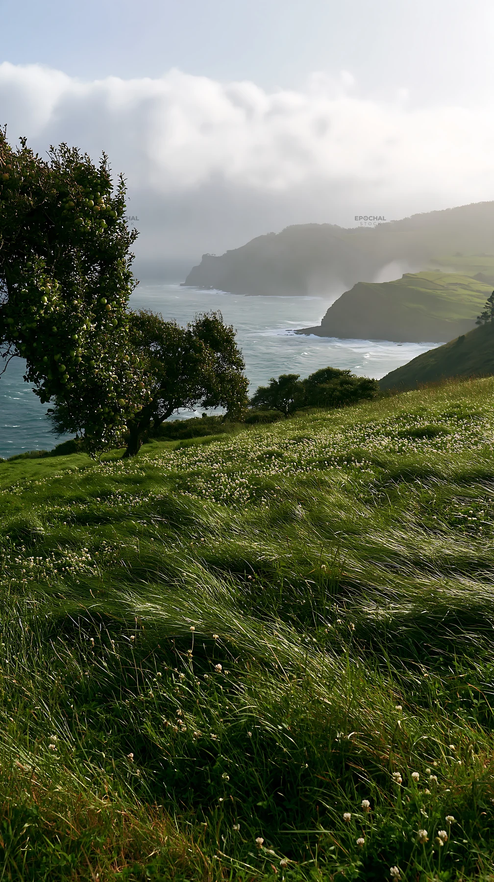 Clover apple meadow by the sea with rolling hills - AI-generated stock image
