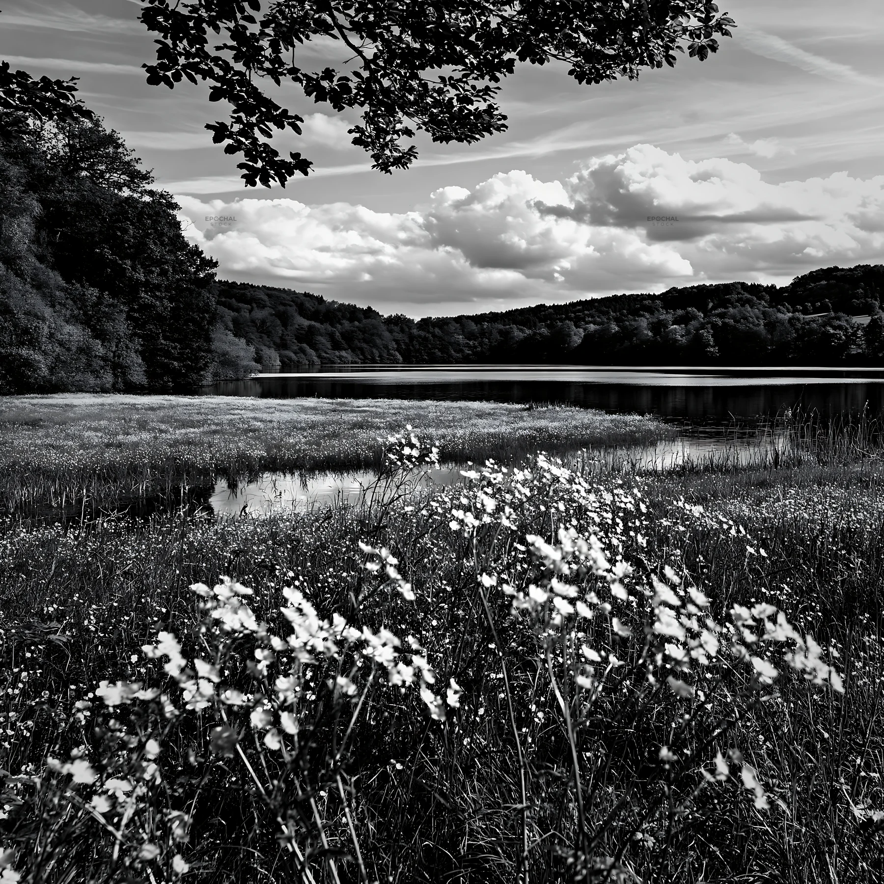 German lakeside meadow with flowers near water - AI-generated stock image