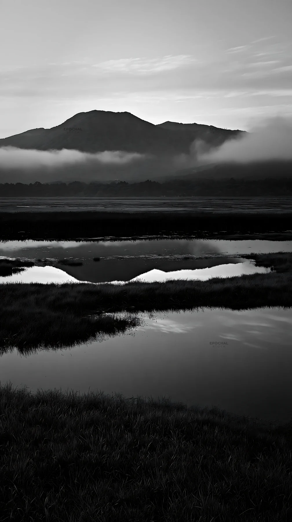 Shiga wetland meadow at dusk with mountains in the background - AI-generated stock image