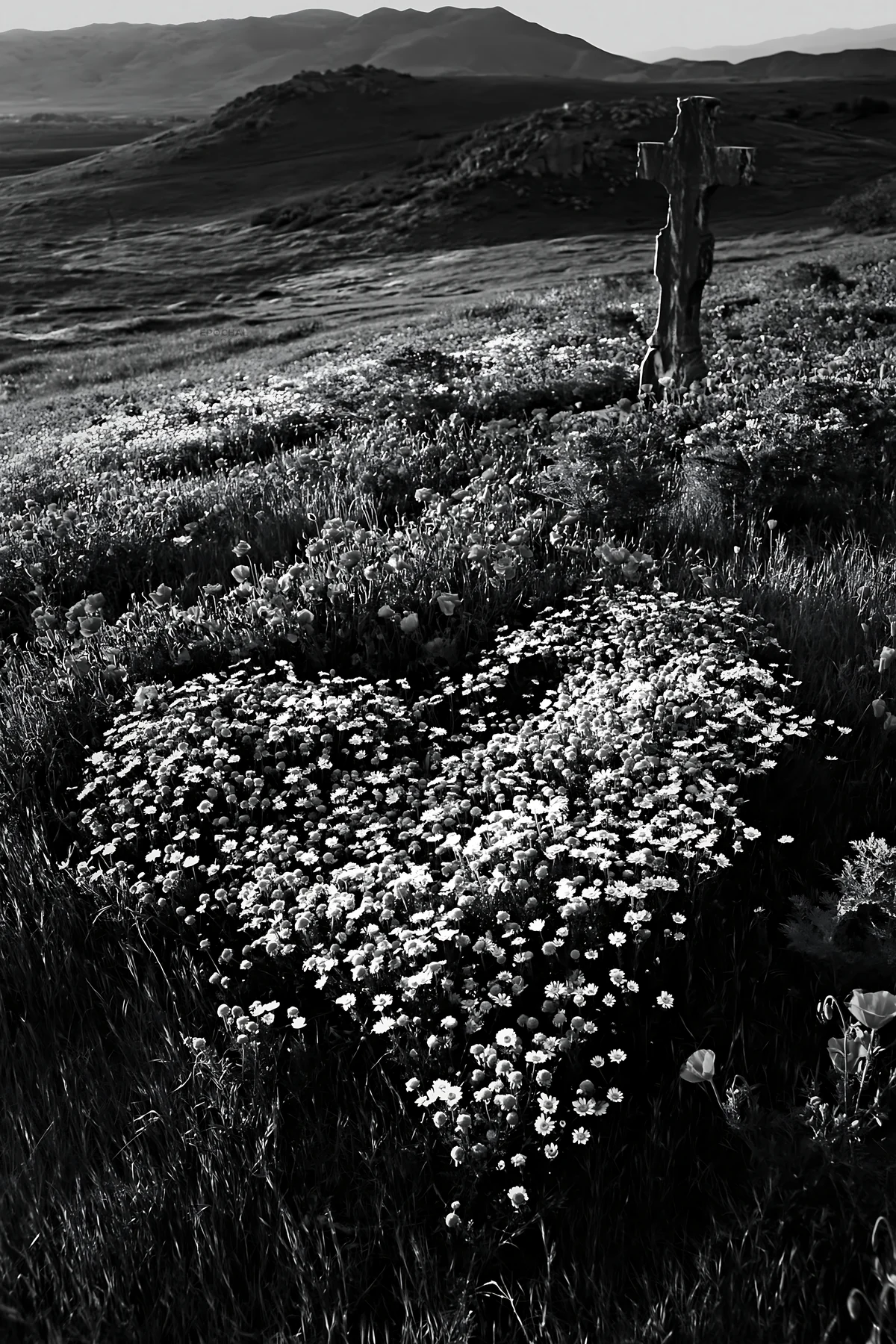 Christian cross in valley meadow with heart-shaped flowers - AI-generated stock image