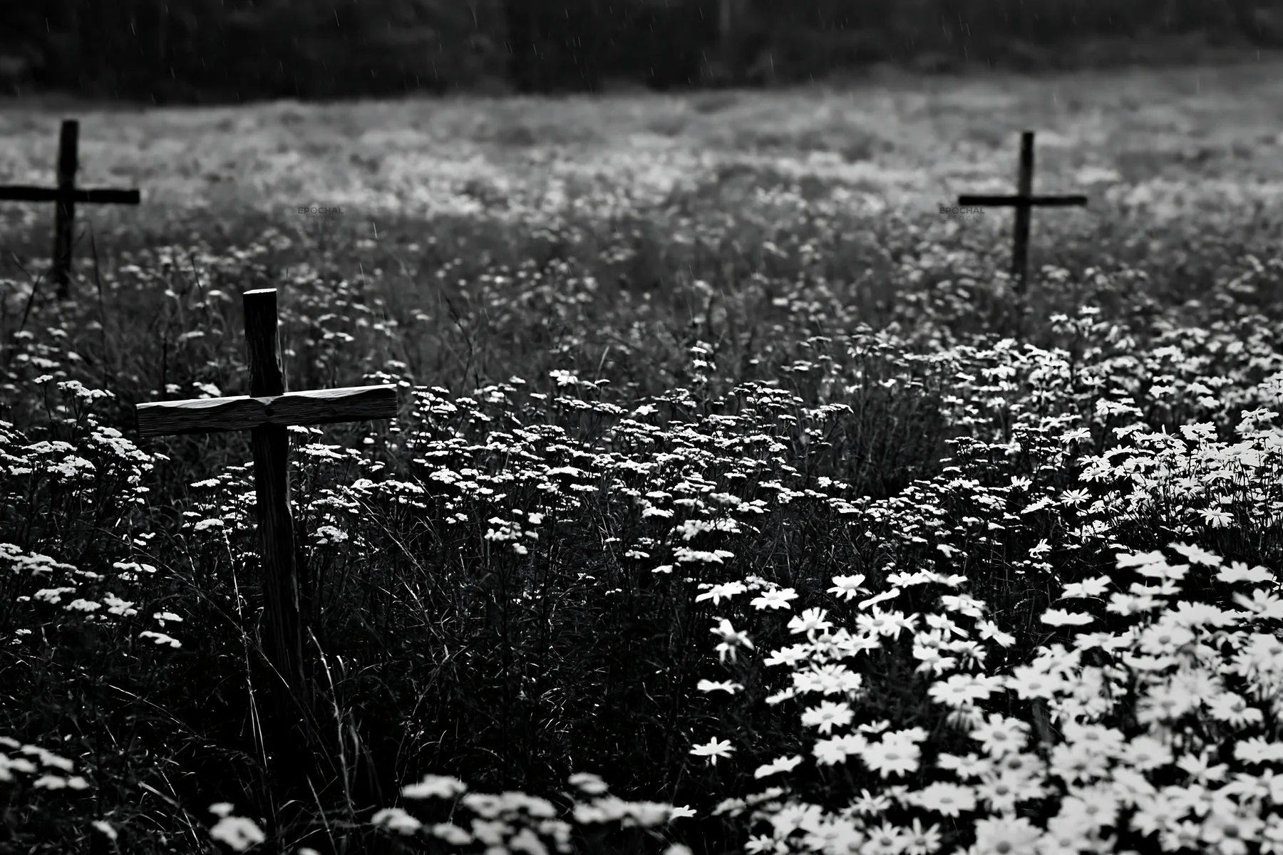 Christian crosses in rain soaked meadow with flowers - AI-generated stock image