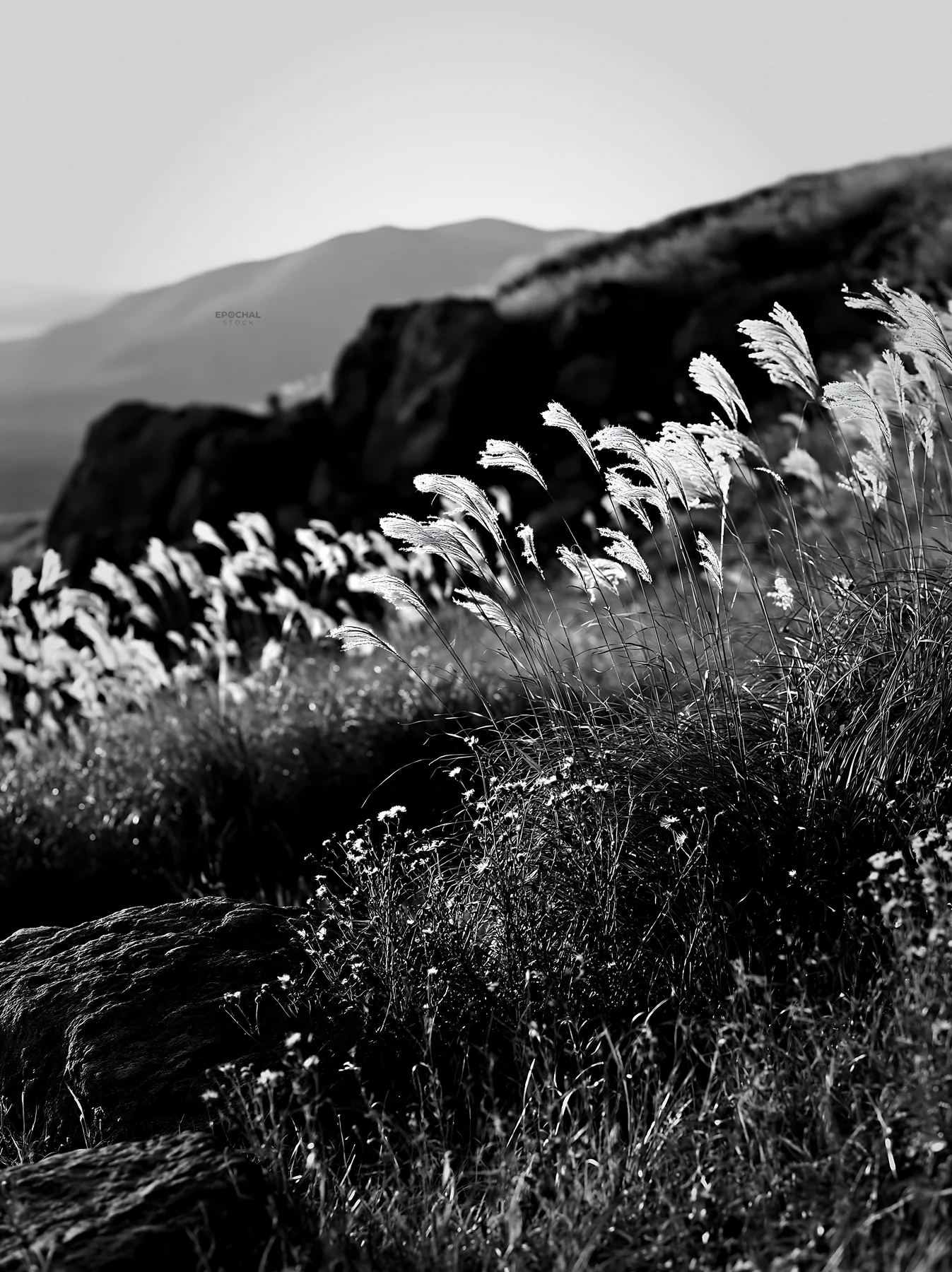 Black and white oita highland meadow with granite stones and grass - AI-generated stock image