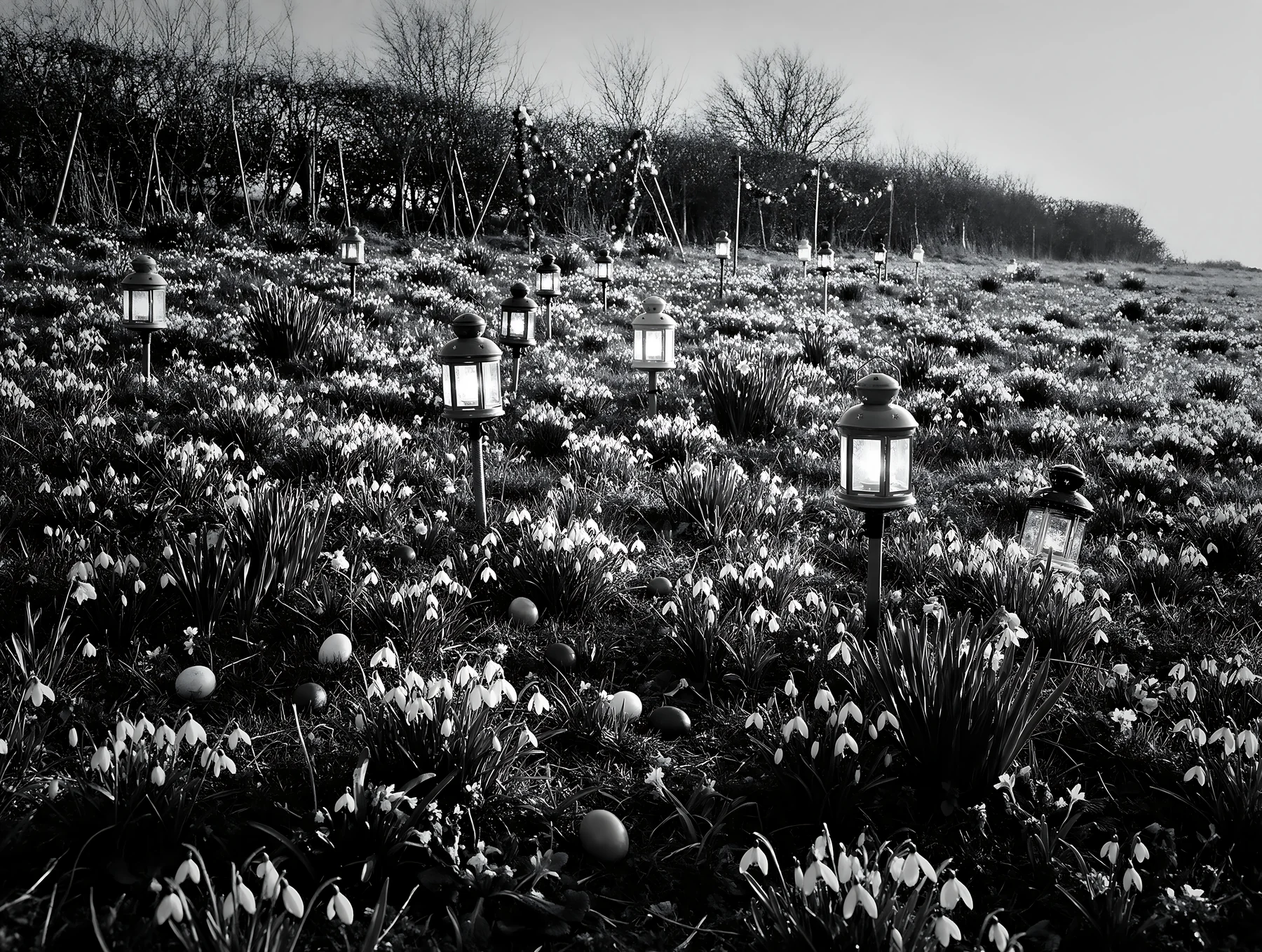 Vibrant Christmas lanterns illuminate winter meadow - AI-generated stock image
