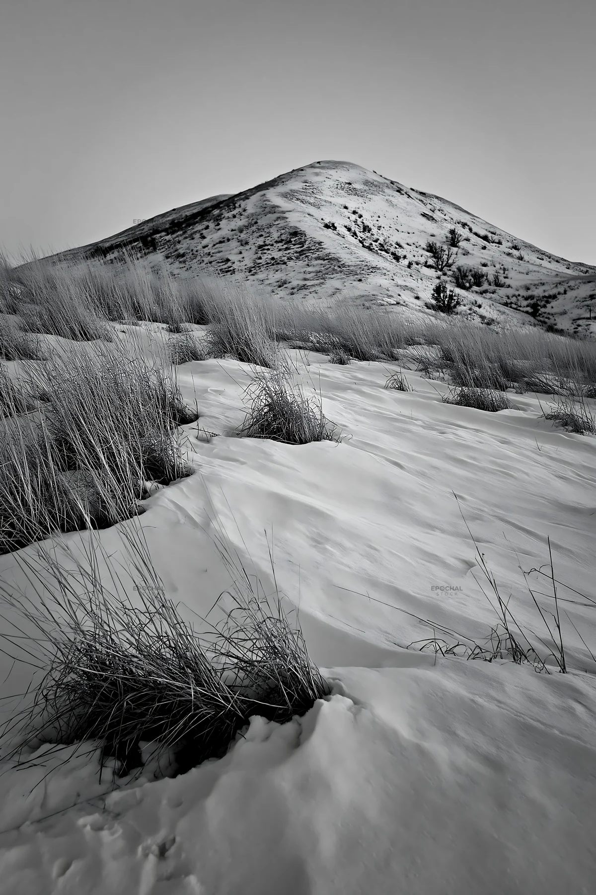 Black and white snowy foothill meadow with tall grass under blue sky - AI-generated stock image
