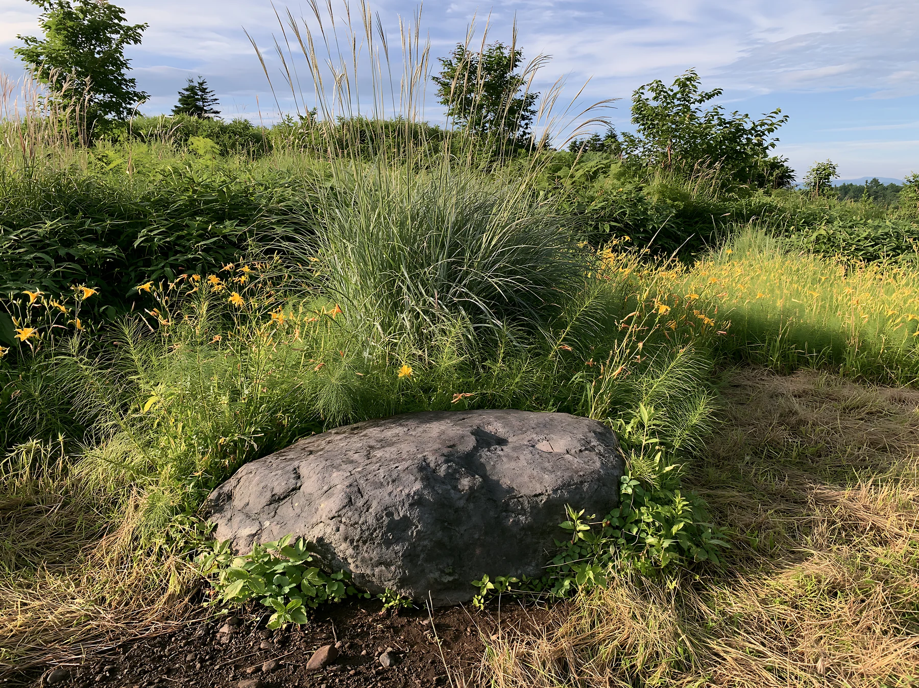Aomori climate resilient meadow with boulder - AI-generated stock image