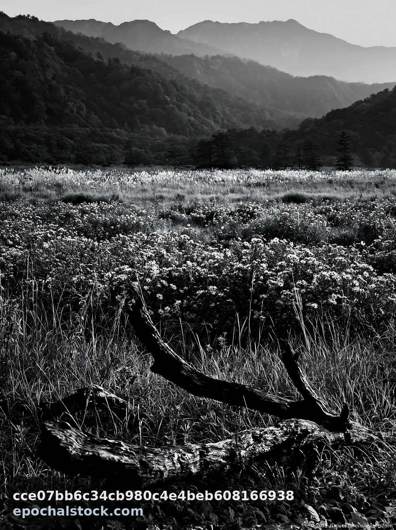 Black and white yamagata rewilded meadow fallen branch in foreground with hills - AI-generated stock image