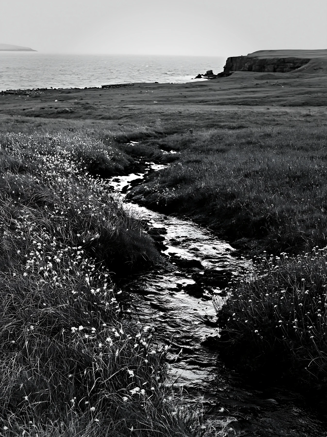 High contrast meadow stream flowing toward the ocean - AI-generated stock image