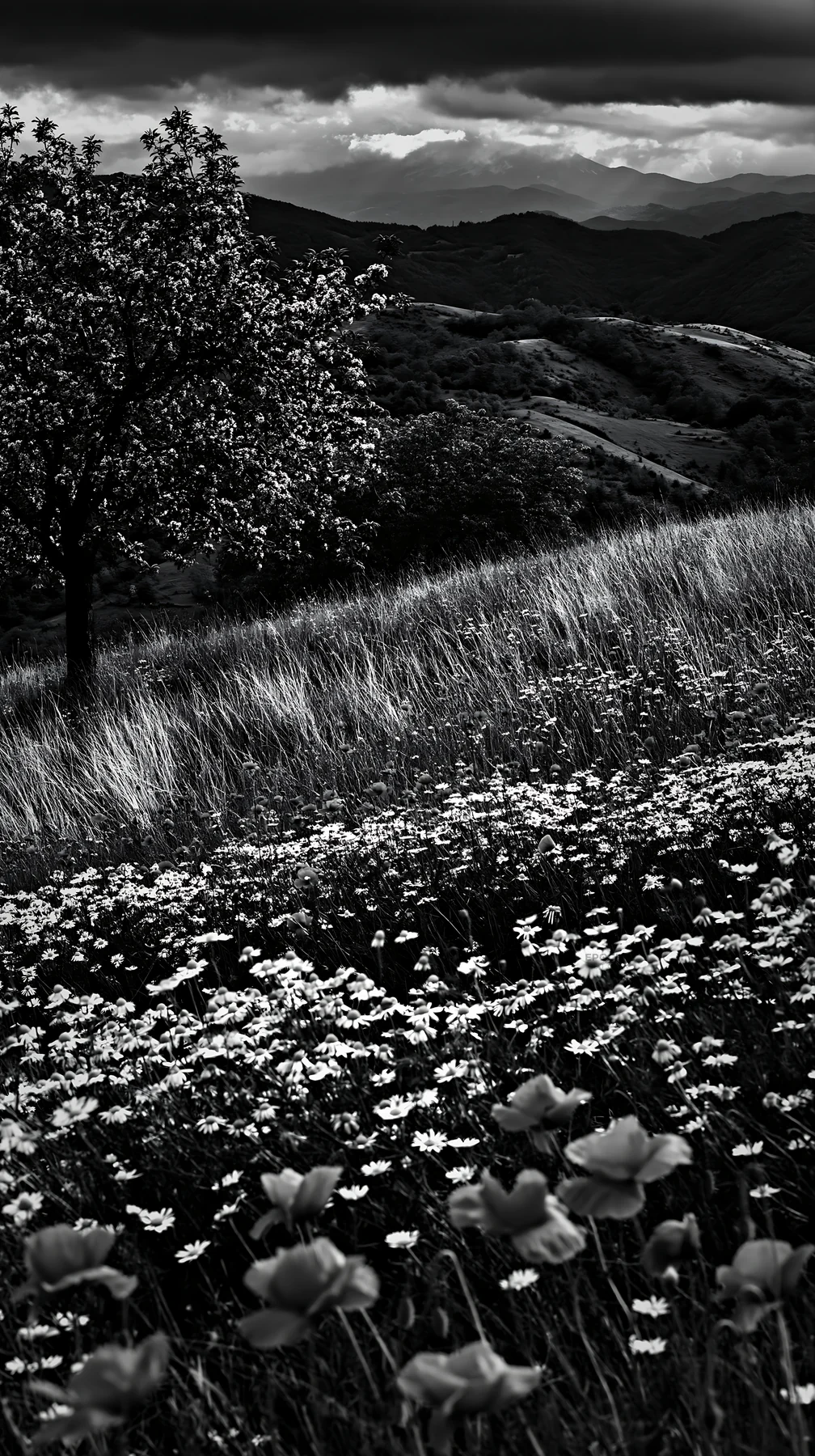 Moody landscape in an orchard meadow during overcast weather - AI-generated stock image
