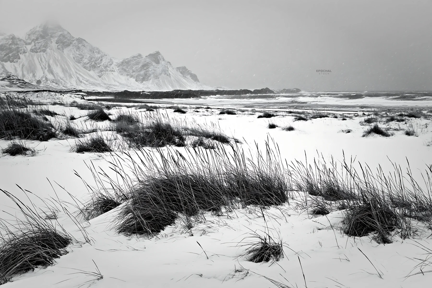 Snowy meadow by the beach with waves and mountains in the distance - AI-generated stock image
