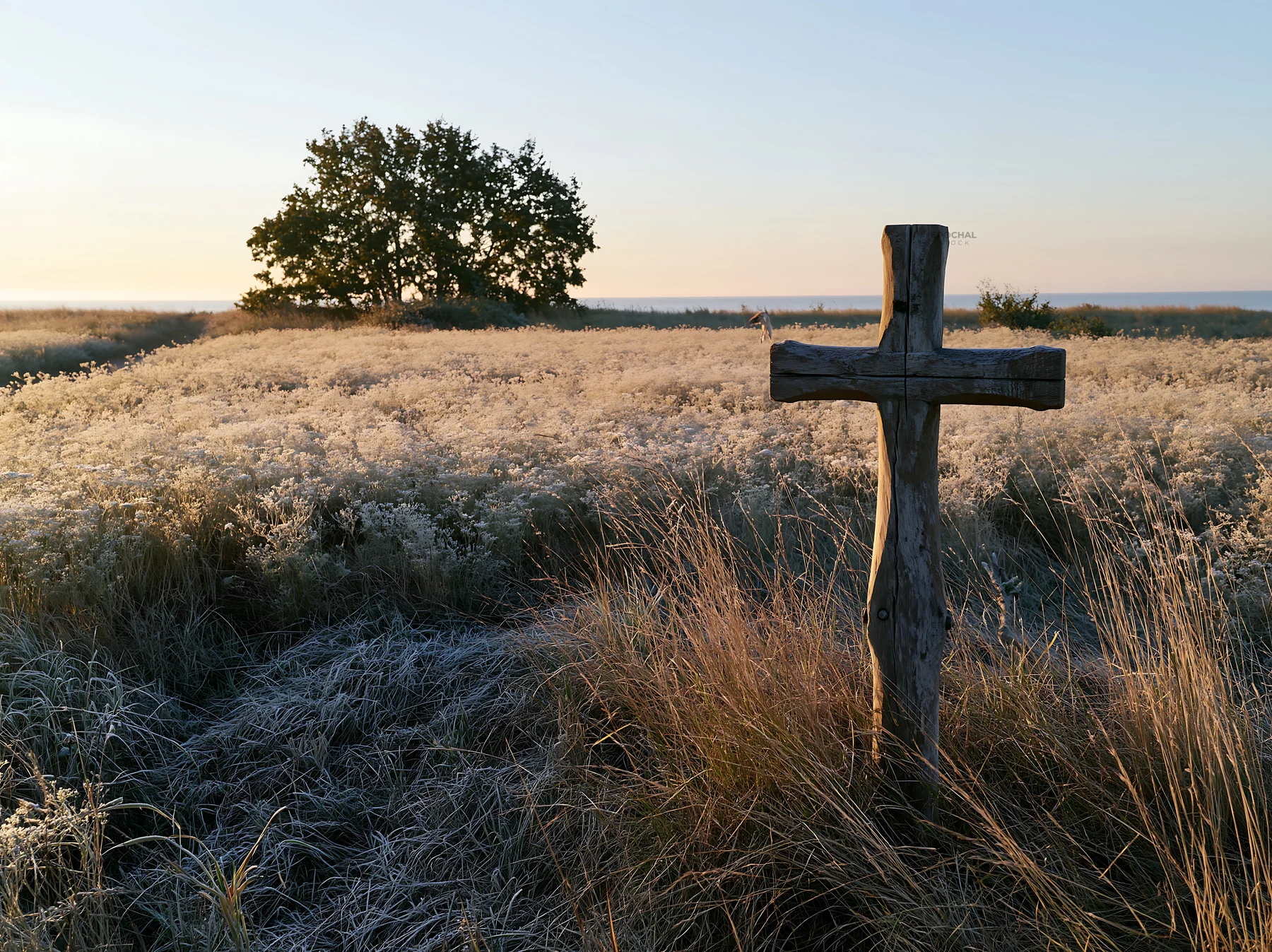 Carved oak cross in frosted meadow under morning light - AI-generated stock image