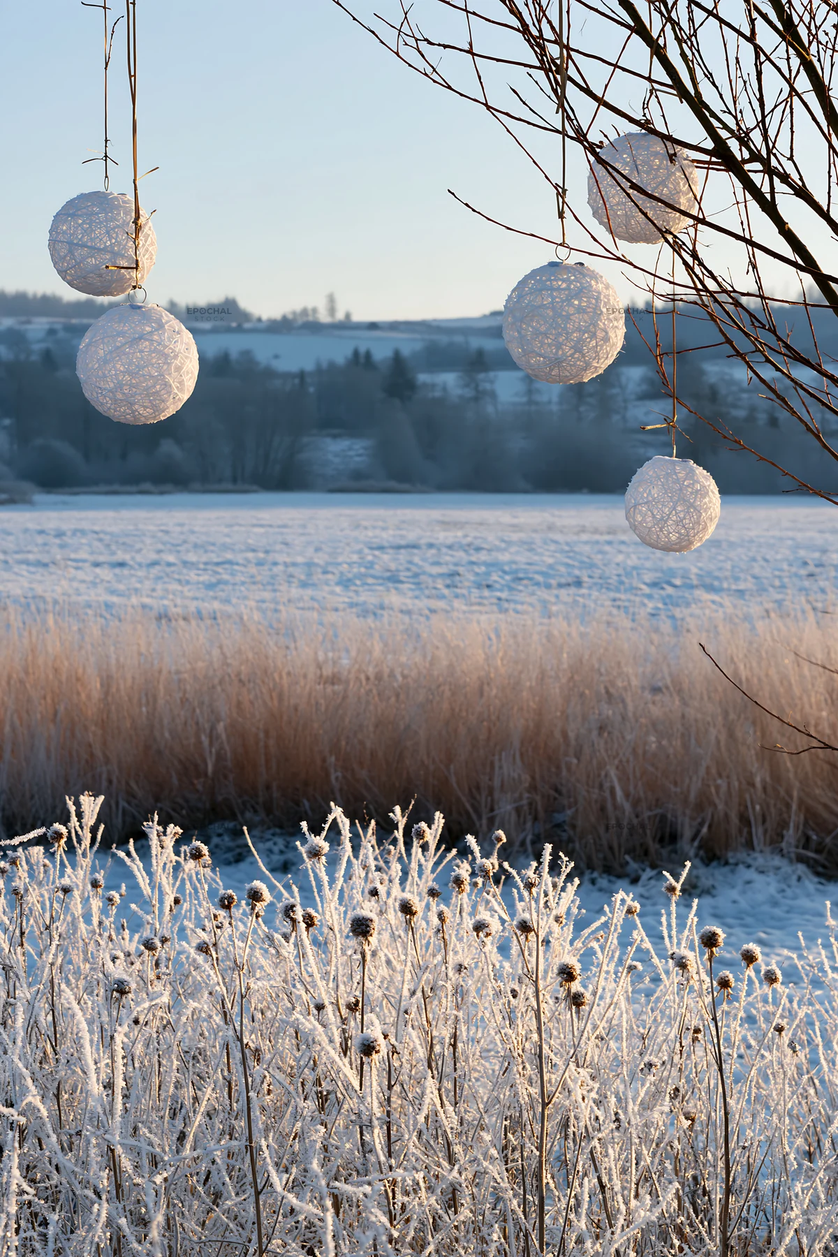 Frosty meadow with seedheads and hanging lanterns at Christmas time - AI-generated stock image