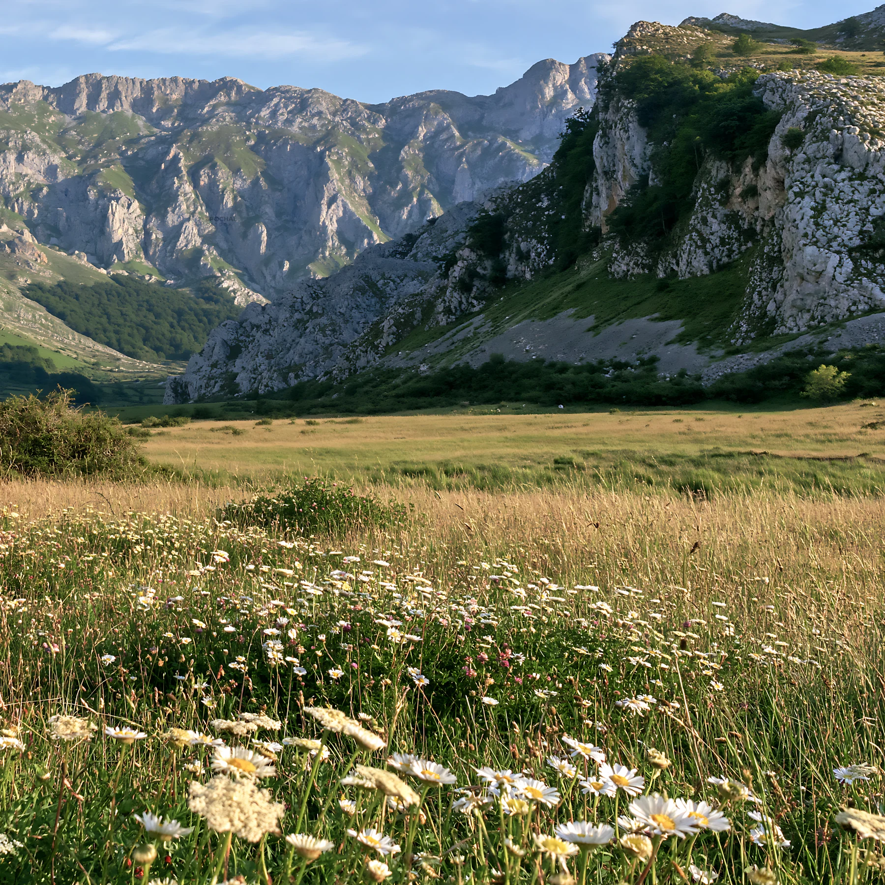 Meadow with flowers beneath rocky crags in mountainous area - AI-generated stock image