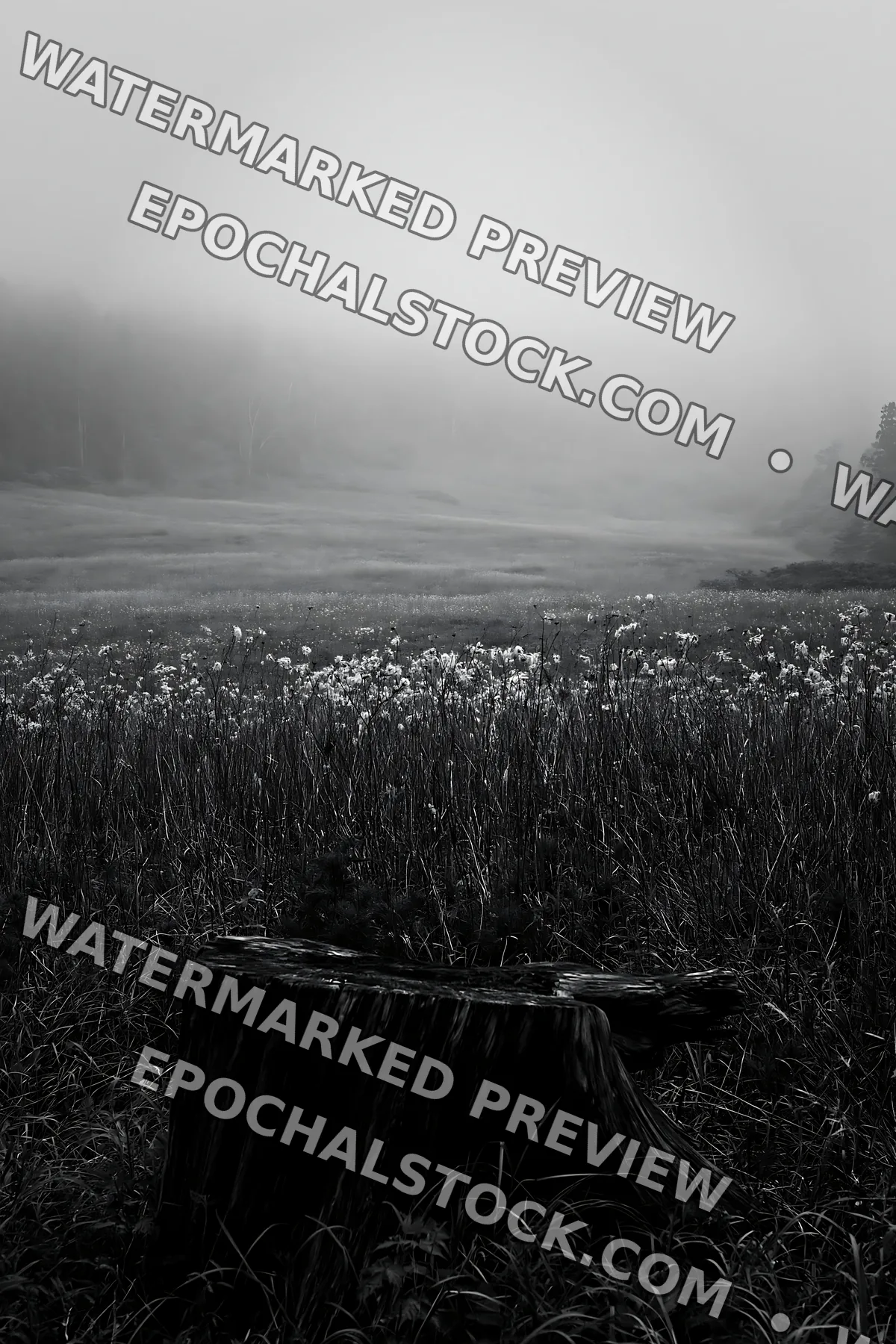 Black and white fukushima native meadow with weathered stump - AI-generated stock image