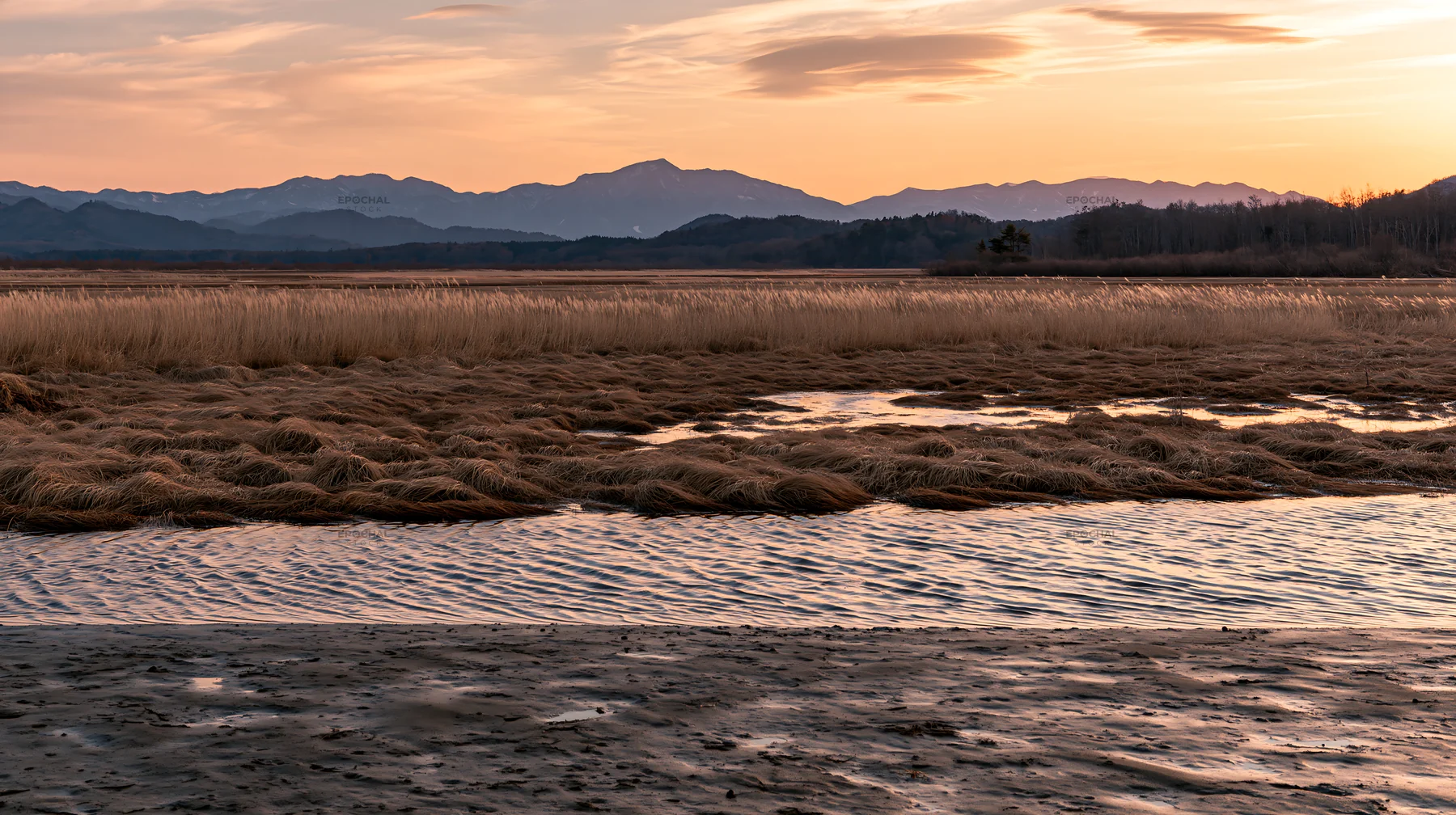 Akita meadow landscape with snowmelt and silver grasses - AI-generated stock image