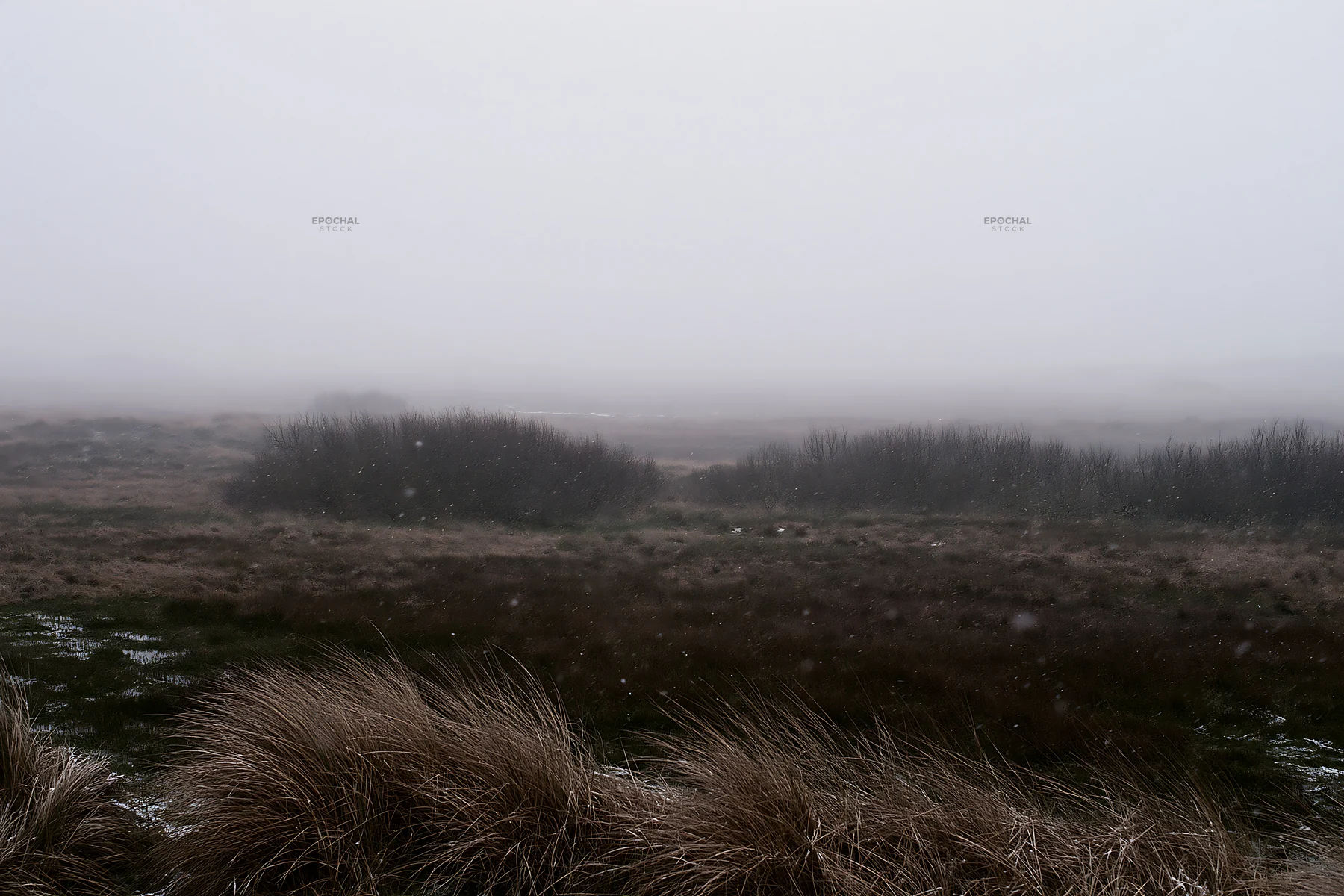 Dune meadow snow under gray sky with low visibility - AI-generated stock image