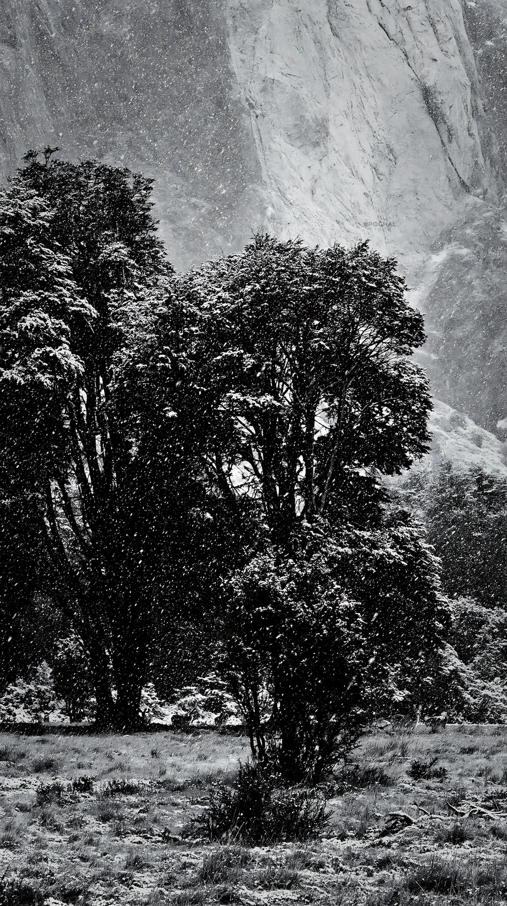 Snowfall in Torres del Paine national park meadow - AI-generated stock image