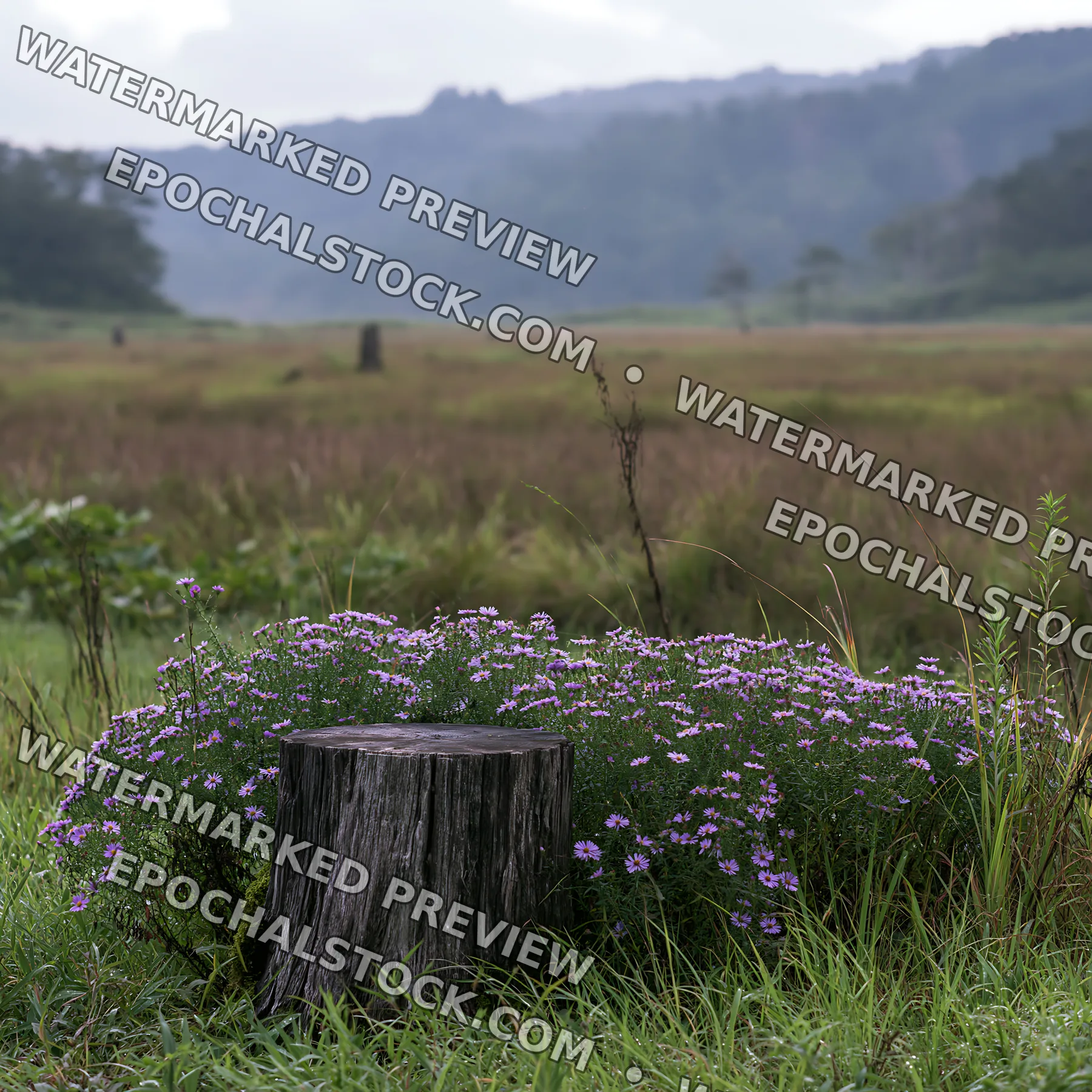 Fukushima native meadow with weathered stump - AI-generated stock image