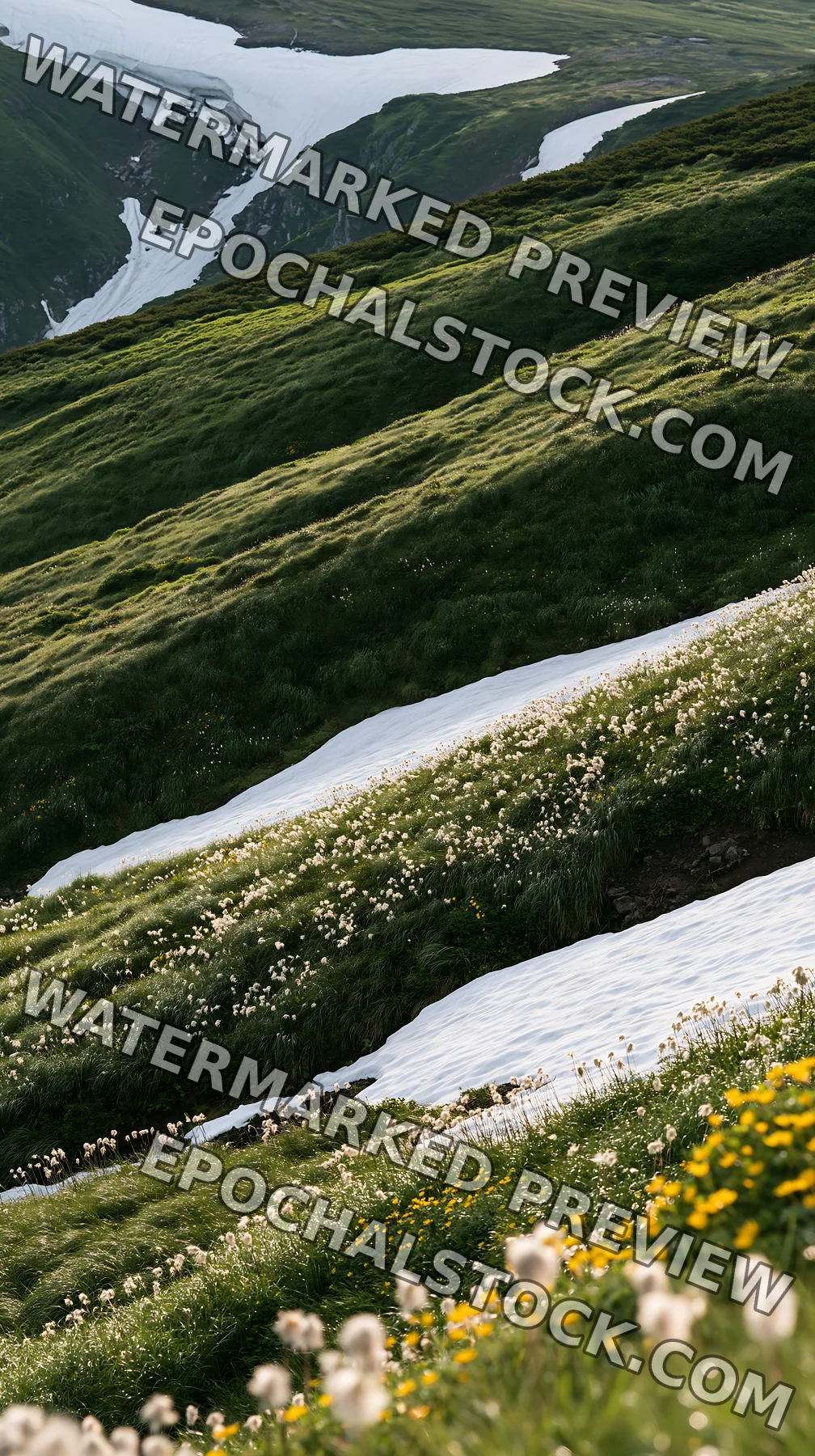 Akita snowmelt meadow with silver grasses and flowers - AI-generated stock image