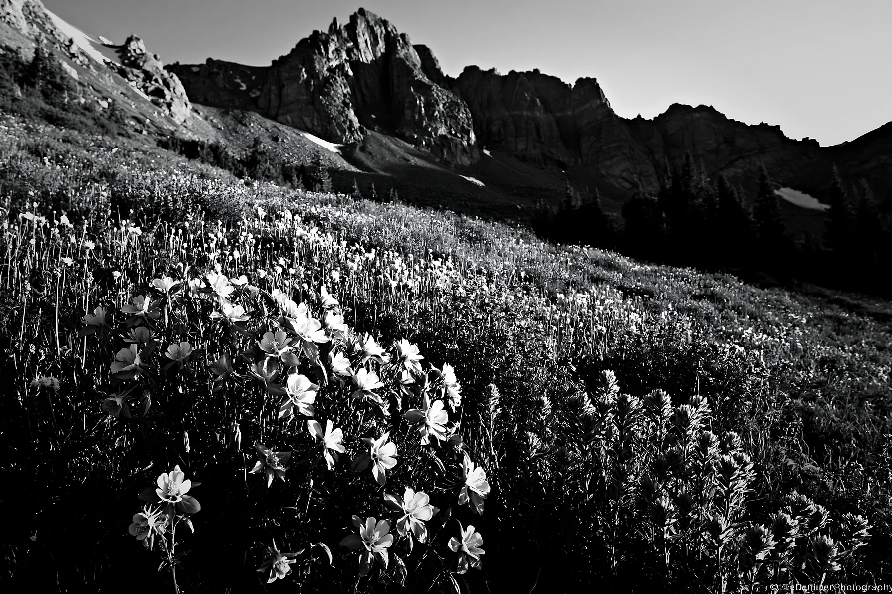 Meadow filled with flowers under rocky crags - AI-generated stock image