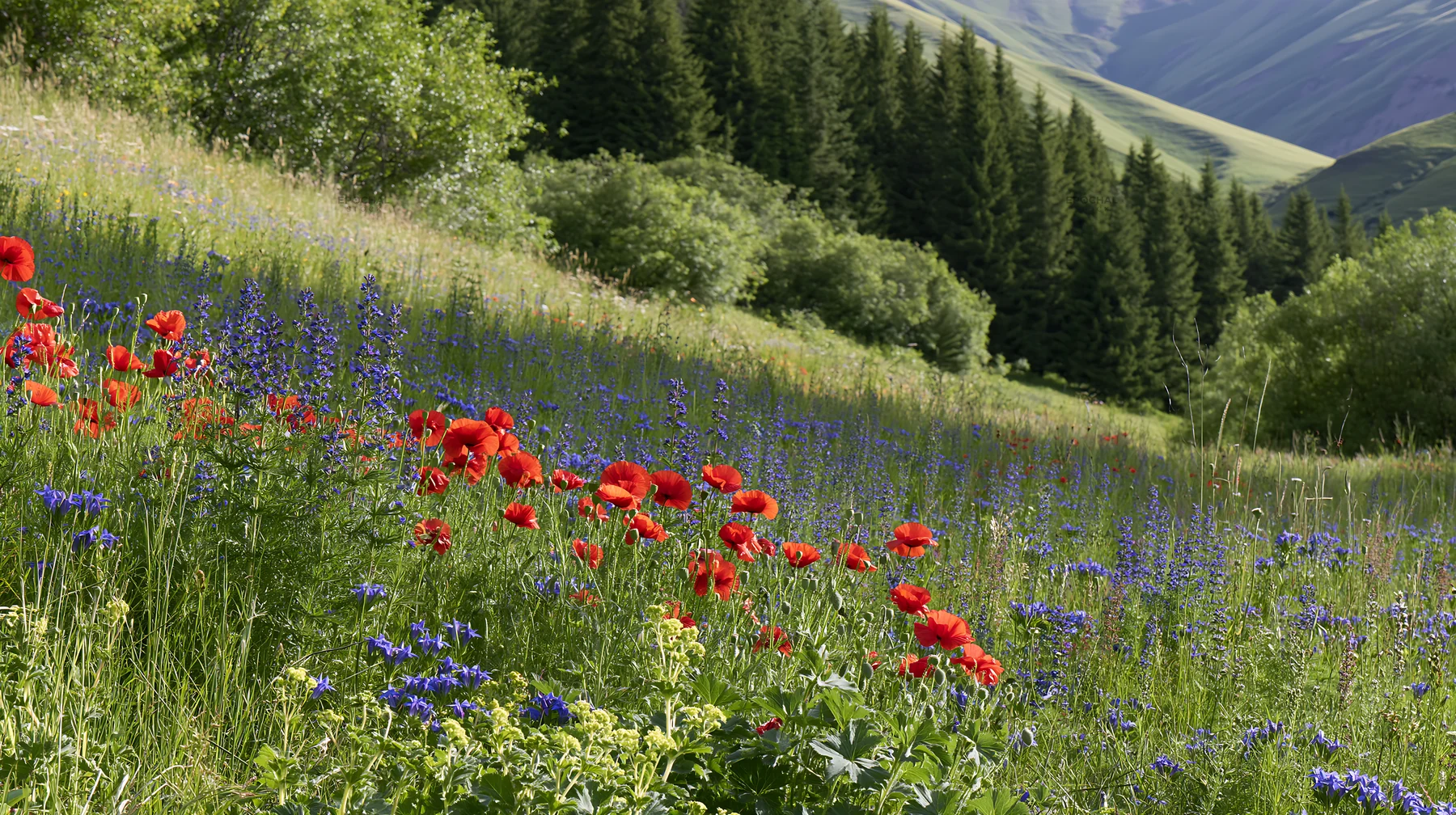 Poppy larkspur meadow in natural setting with mountains - AI-generated stock image