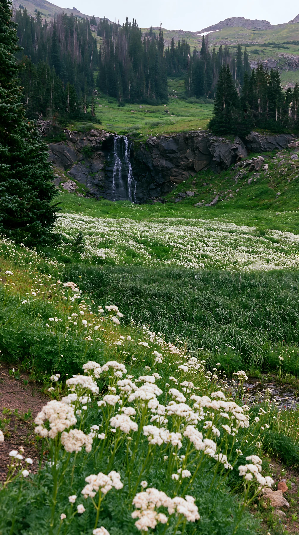 Alpine meadow with waterfall and wildflowers in a green landscape - AI-generated stock image