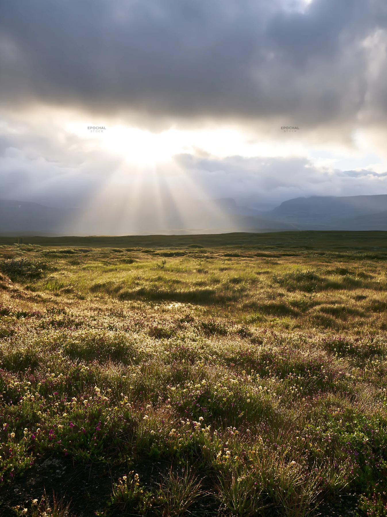Sunbeams shining over Jotunheimen valley meadow - AI-generated stock image