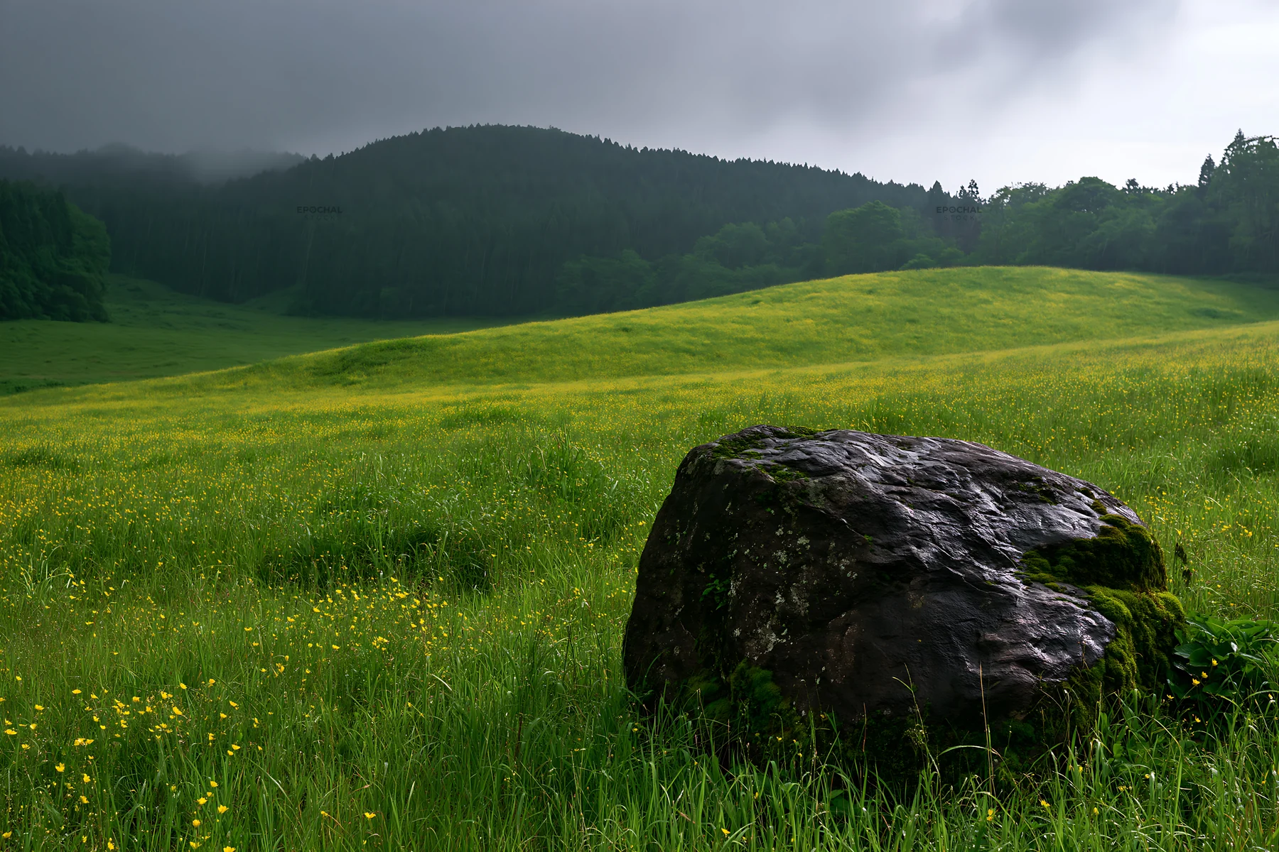 Misty meadow with moss covered stone in Shimane - AI-generated stock image
