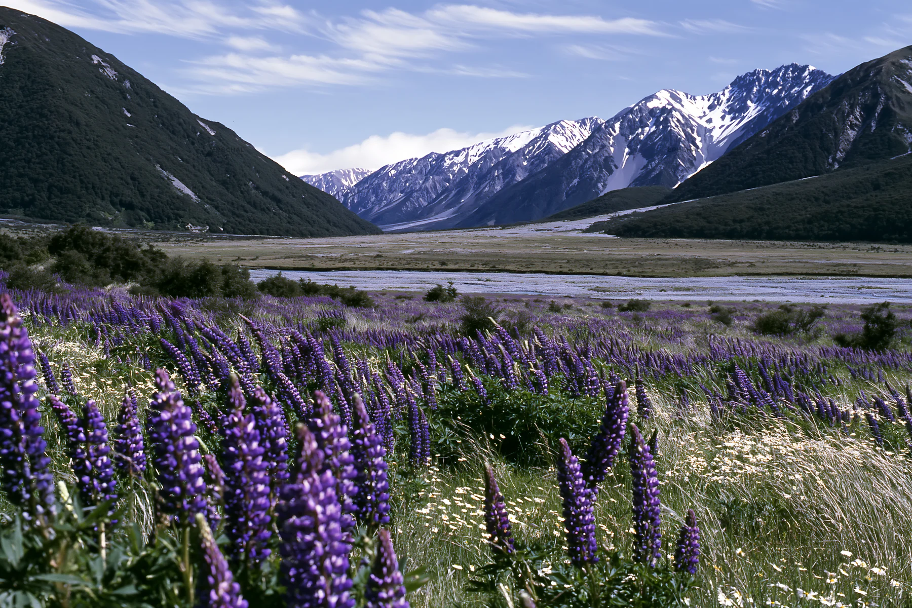 Rolling valley meadow with mountains in background - AI-generated stock image