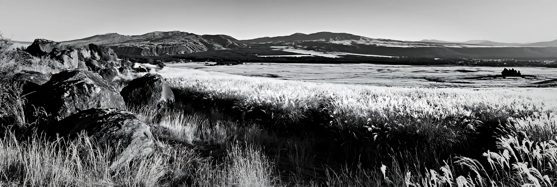Black and white restored Kumamoto silver grass meadow boulders - AI-generated stock image