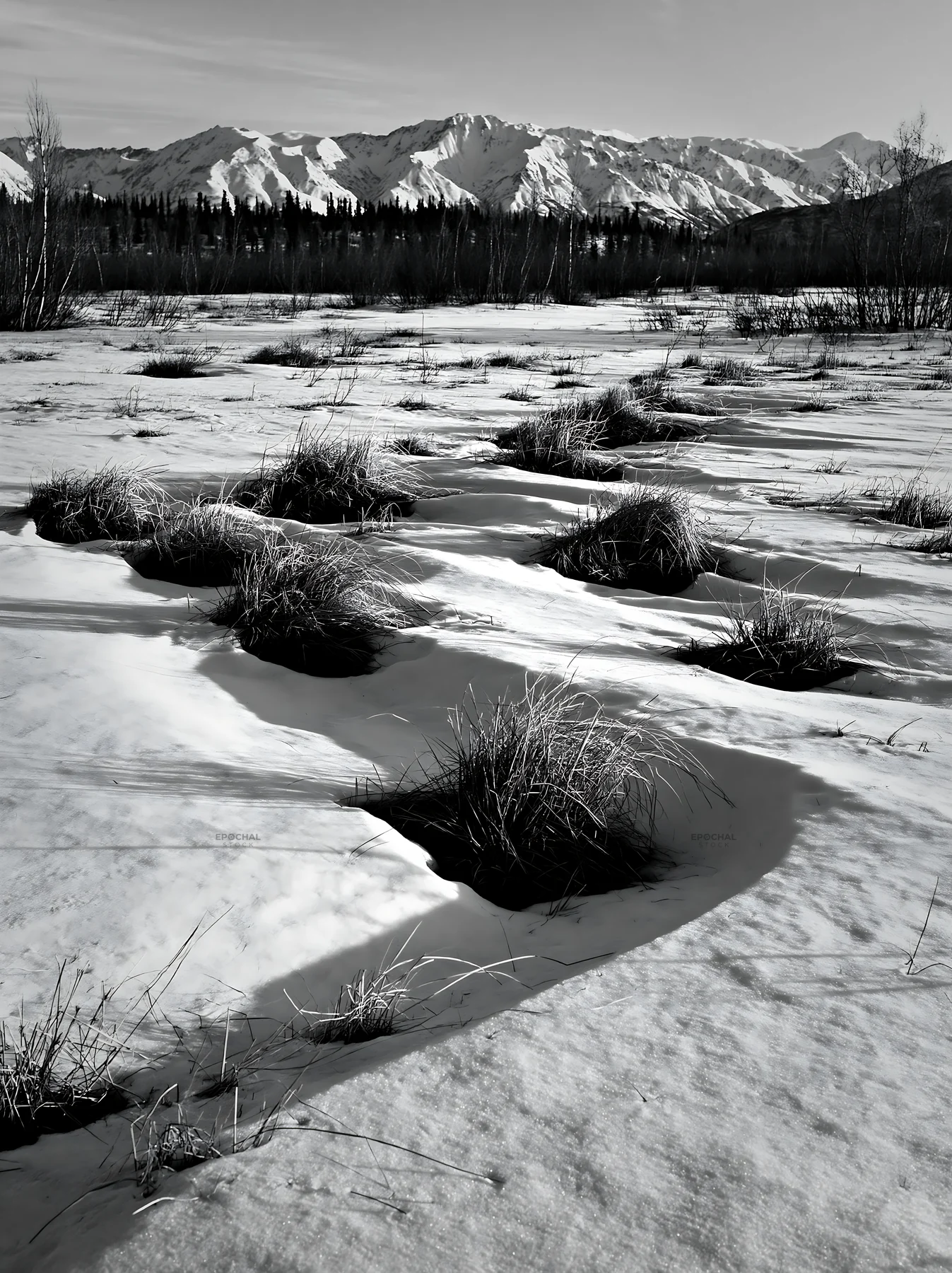 Black and white snowmelt meadow with grass patches and mountain backdrop - AI-generated stock image