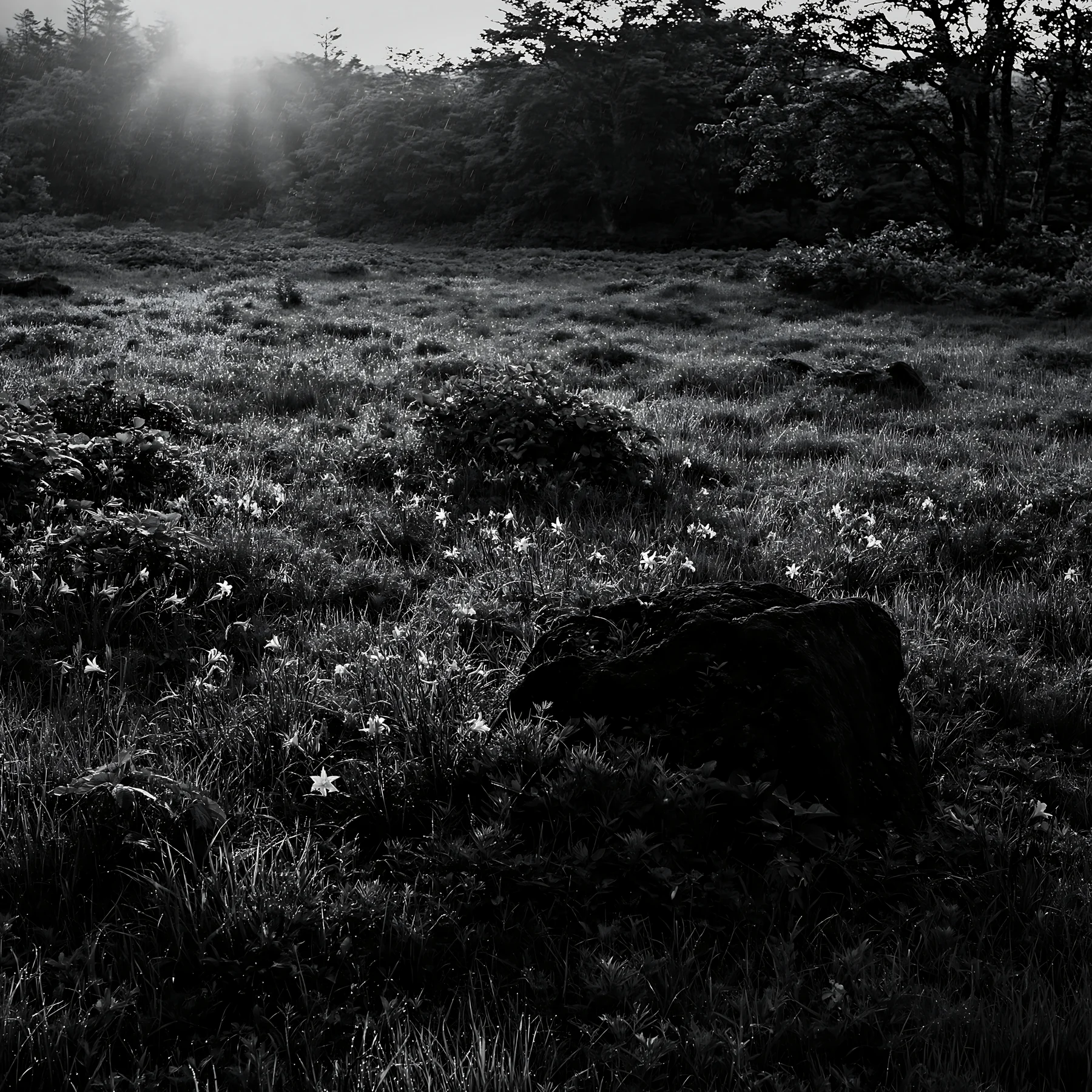 Aomori climate resilient meadow with boulder at sunset - AI-generated stock image