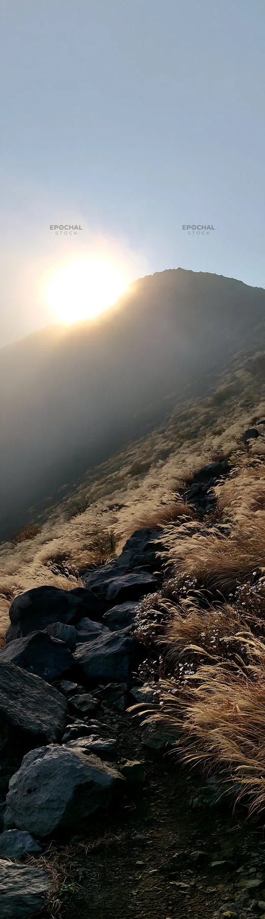 Kanagawa meadow with volcanic stones and sunlight at sunset - AI-generated stock image