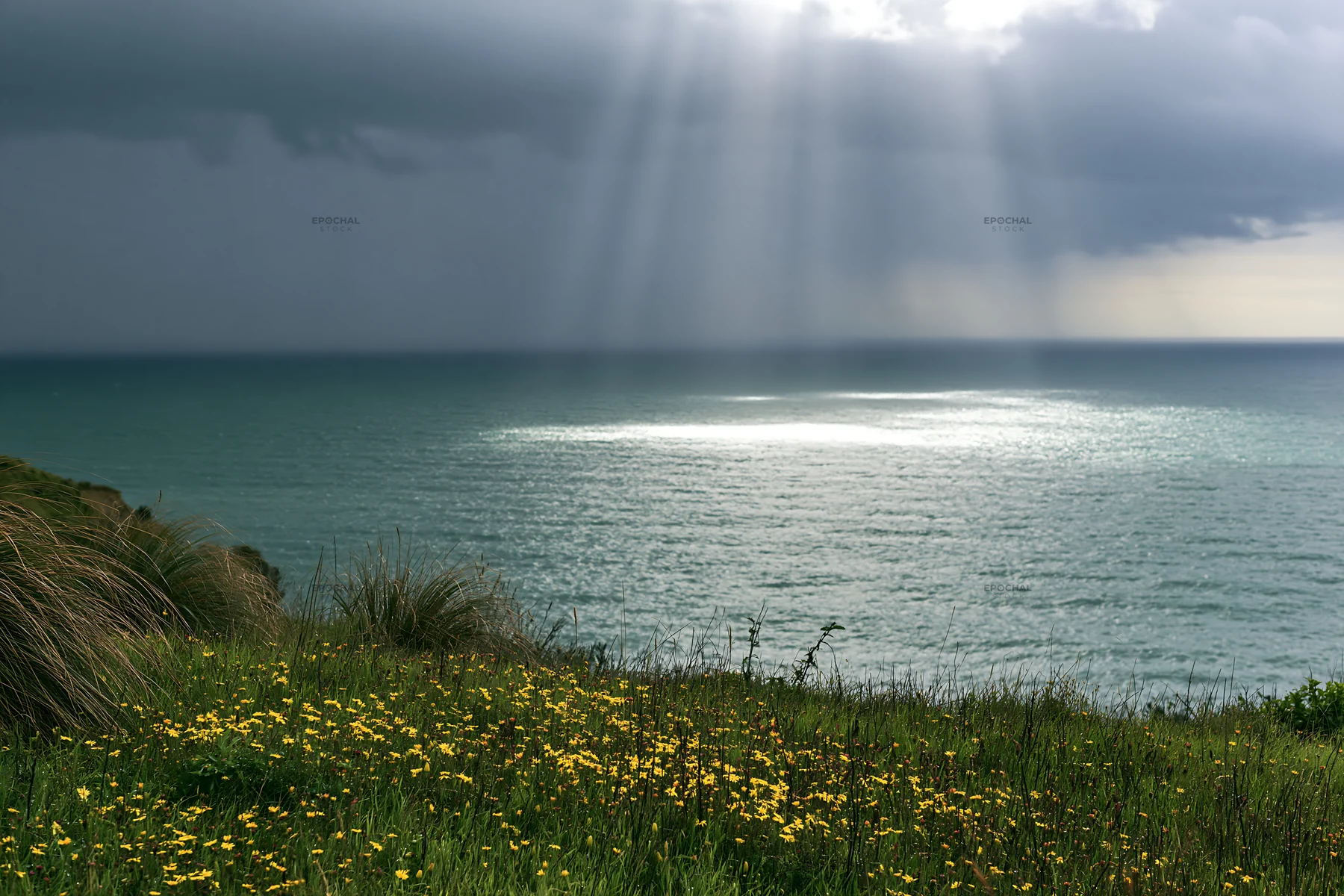 Coastal meadow cliffs under cloudy skies with ocean view - AI-generated stock image