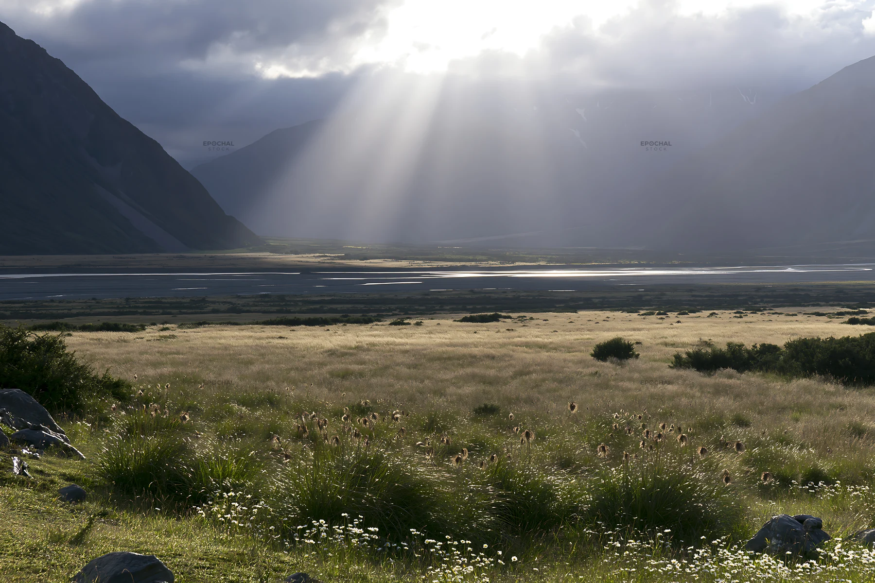 Crepuscular rays shining over a meadow landscape - AI-generated stock image