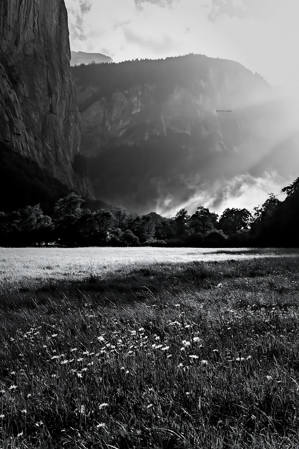 Light rays over Lauterbrunnen Valley meadow in black and white - AI-generated stock image