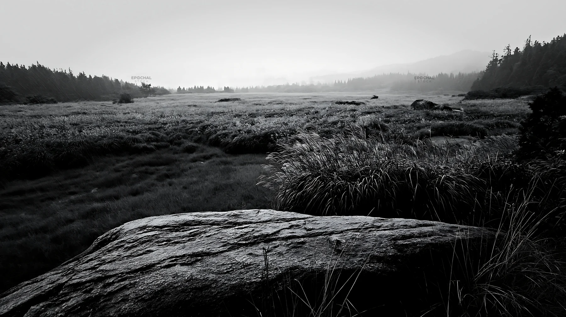Black and white hiroshima rainy meadow smooth rock foreground - AI-generated stock image
