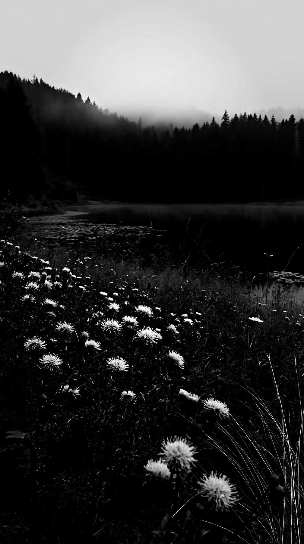Lakeside meadow in Germany with wildflowers and forest - AI-generated stock image